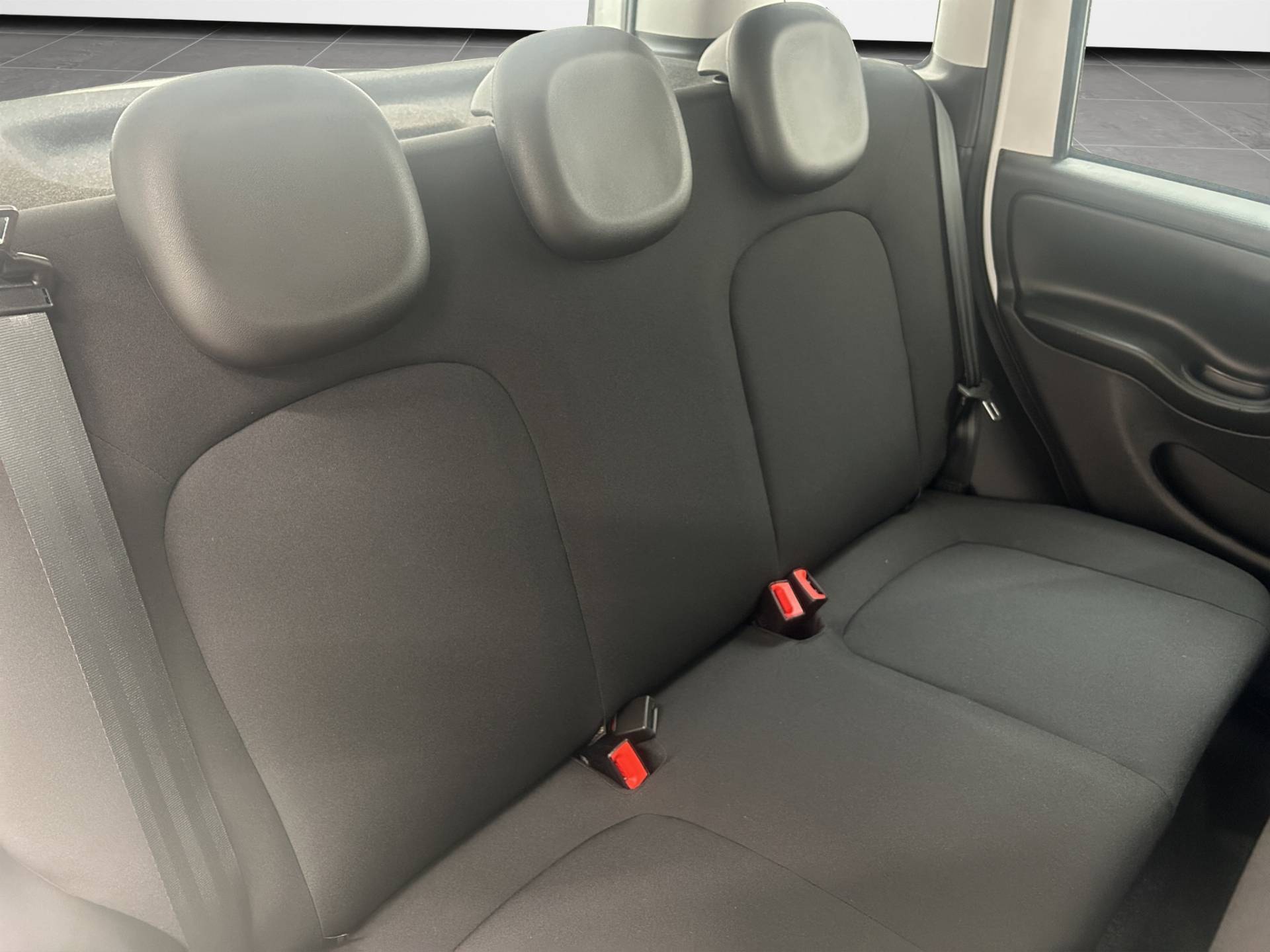 FIAT Panda Pandina 1.0 firefly hybrid Icon s&s 65cv 5p.ti usata in pronta consegna - Brandini