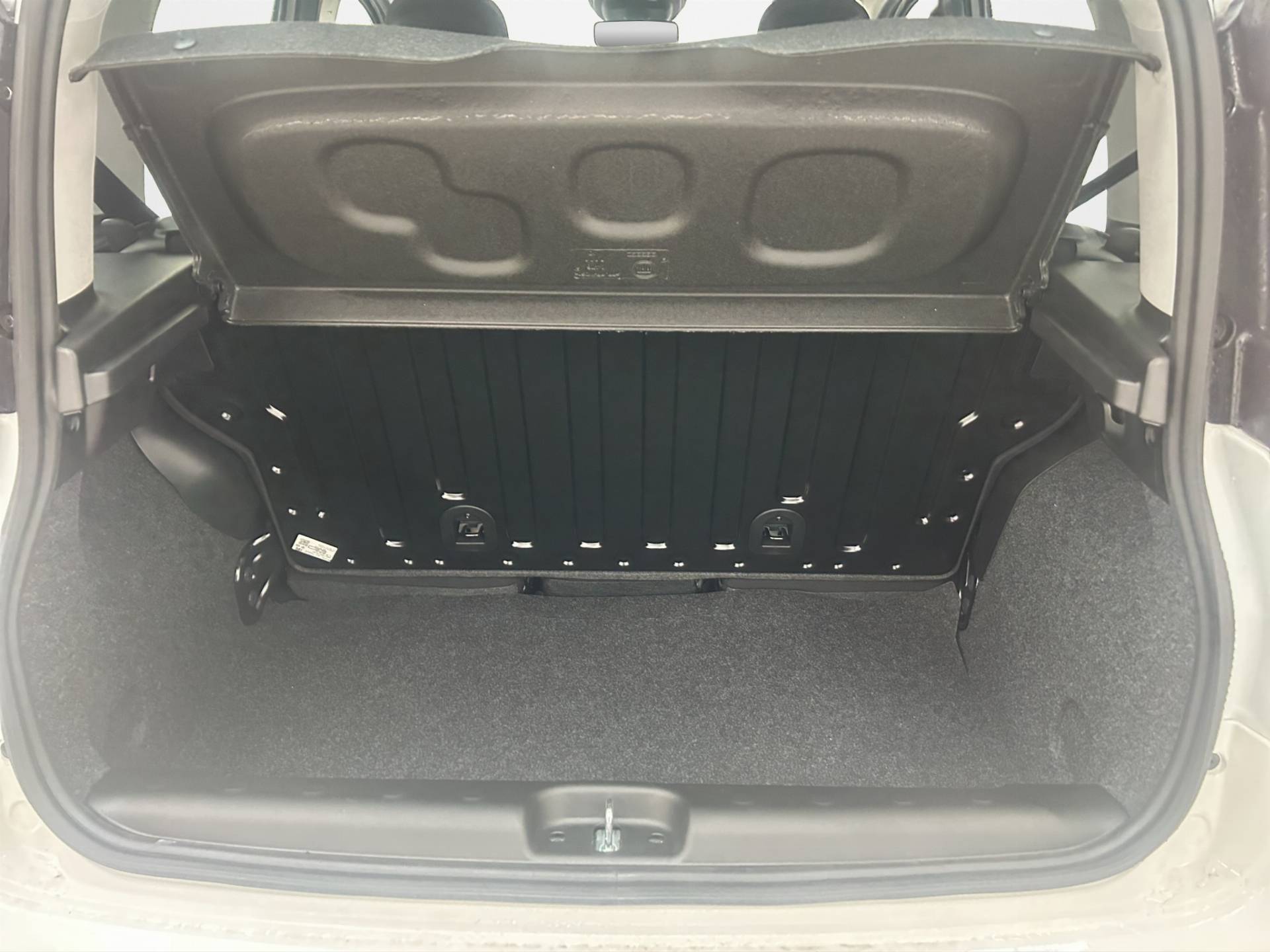 FIAT Panda Pandina 1.0 firefly hybrid Icon s&s 65cv 5p.ti usata in pronta consegna - Brandini
