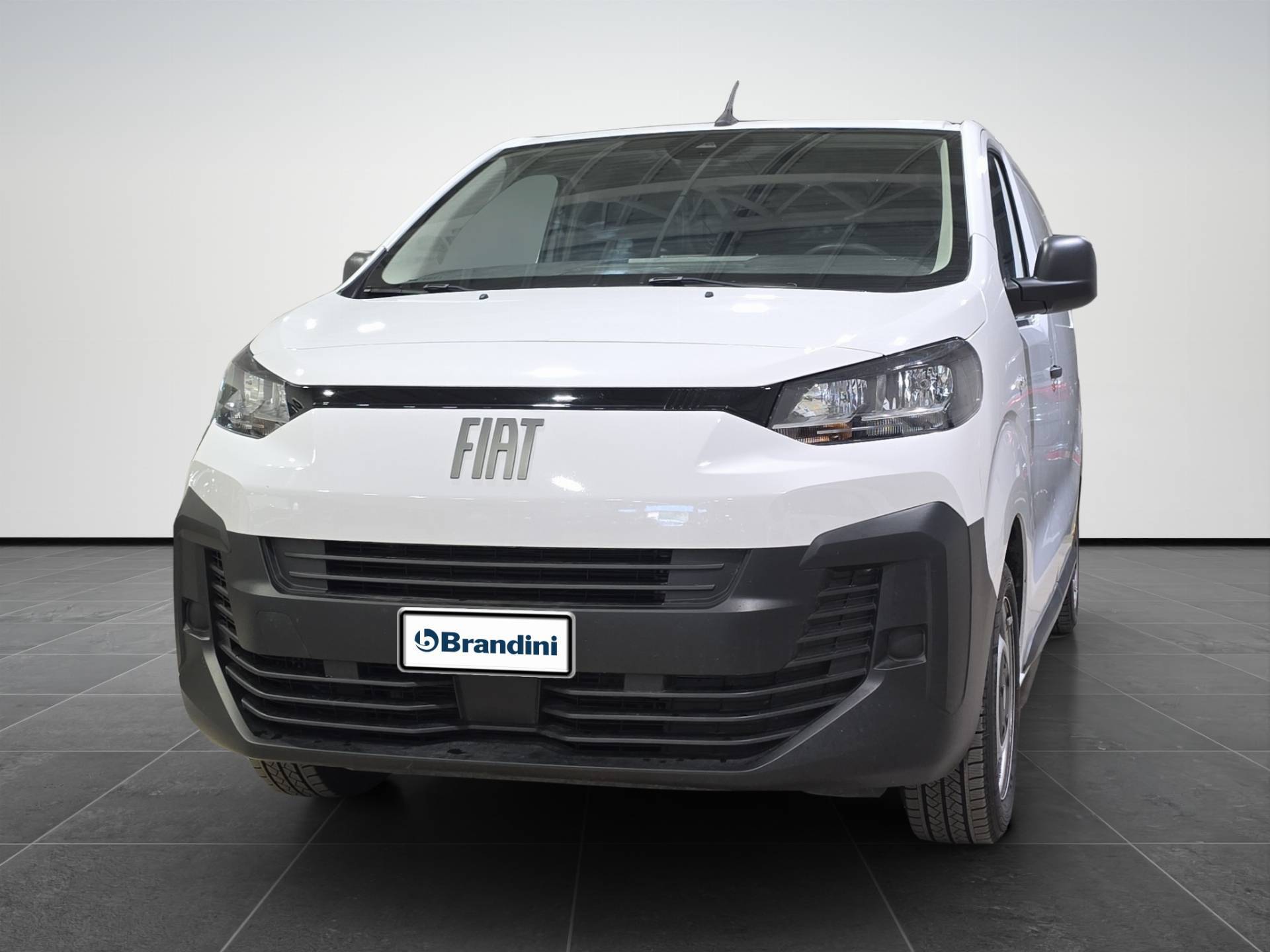 FIAT Scudo Scudo Ice 1.5 bluehdi 120cv L2H1 usata in pronta consegna - Brandini