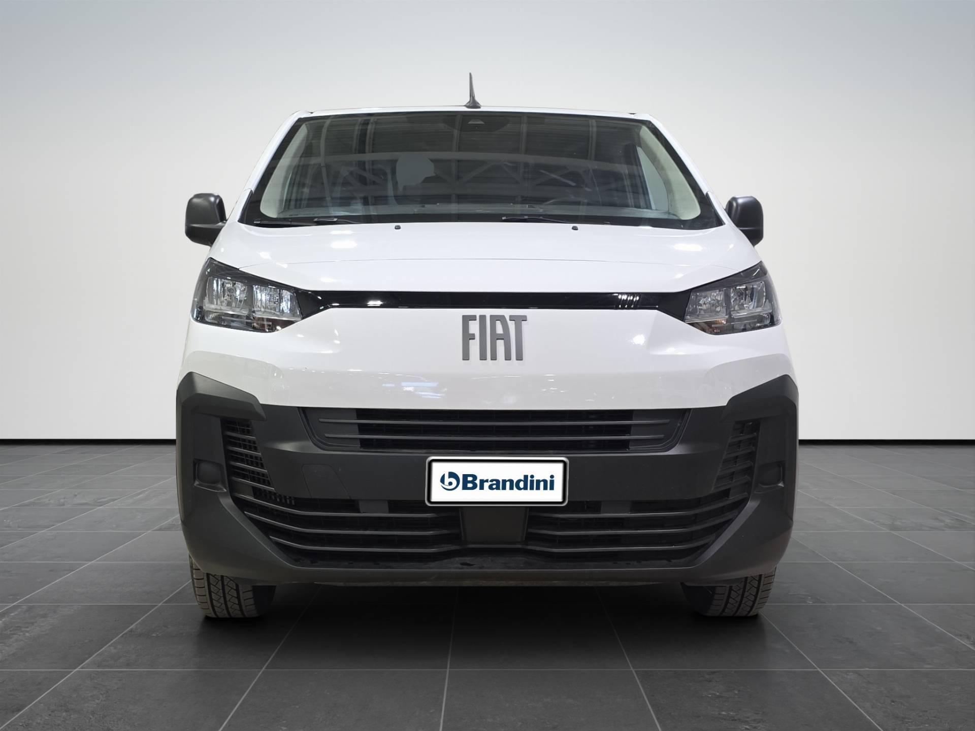 FIAT Scudo Scudo Ice 1.5 bluehdi 120cv L2H1 usata in pronta consegna - Brandini