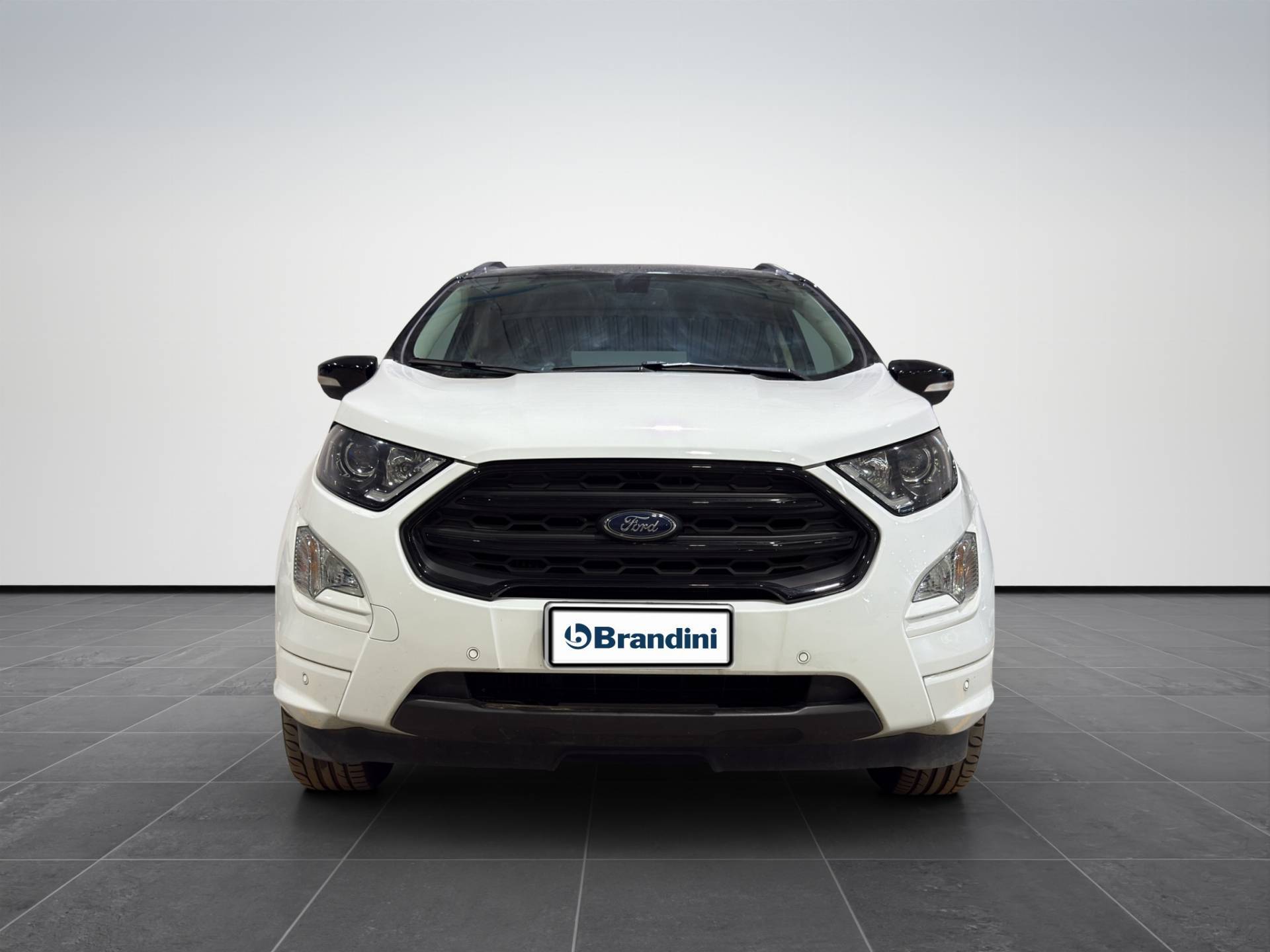 FORD EcoSport EcoSport 1.0 ecoboost ST-line Black Edition s&s 125cv usata in pronta consegna - Brandini