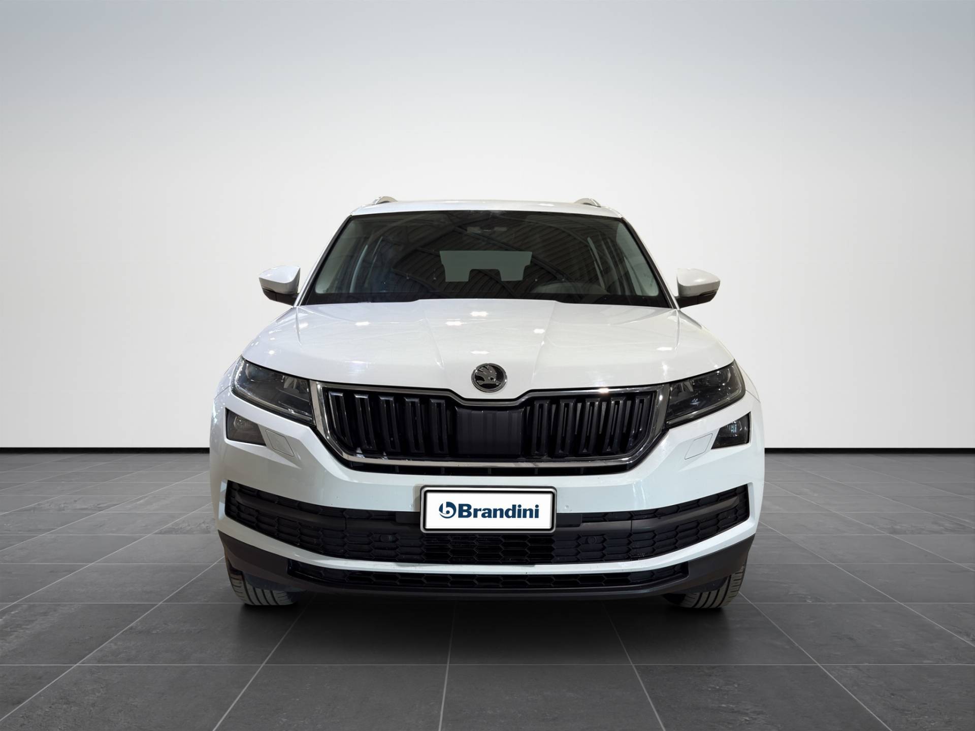 SKODA Kodiaq Kodiaq 2.0 tdi Style 4x4 dsg usata in pronta consegna - Brandini
