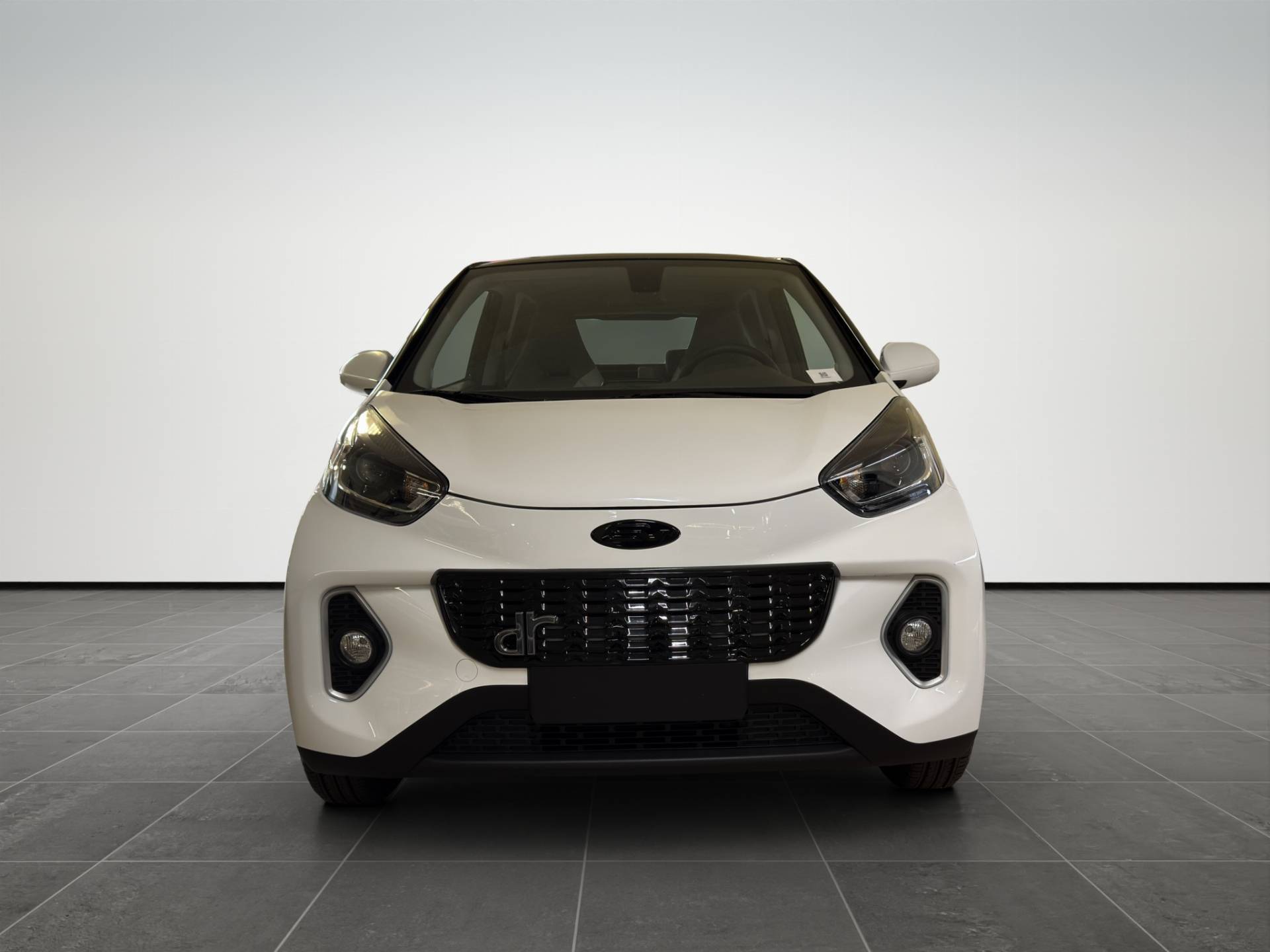 Auto Venduta - DR DR 1.0 dr 1.0 EV 45kW usata in pronta consegna - Brandini