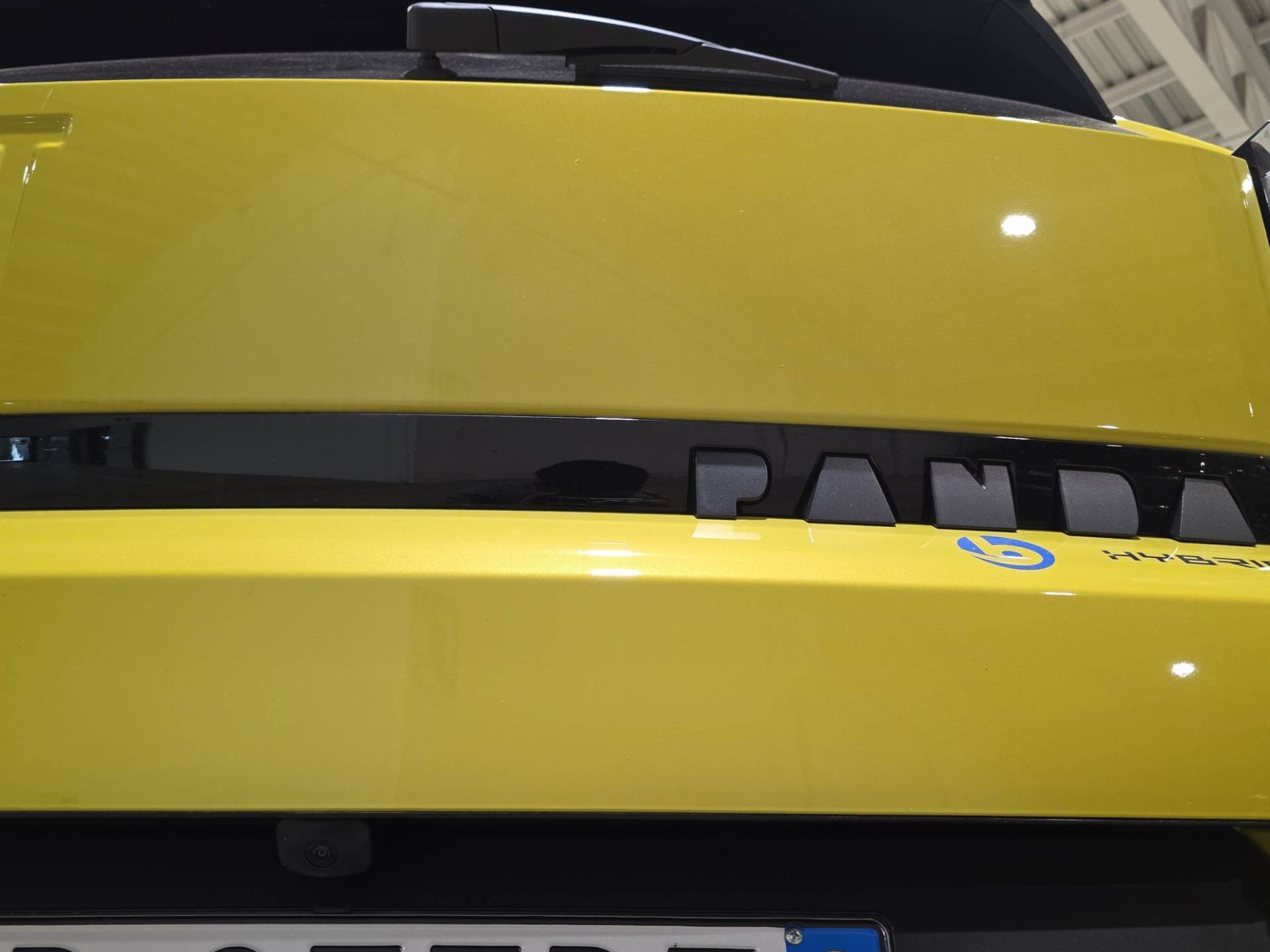FIAT Grande Panda Grande Panda 1.2 hybrid La Prima 110cv edct usata in pronta consegna - Brandini