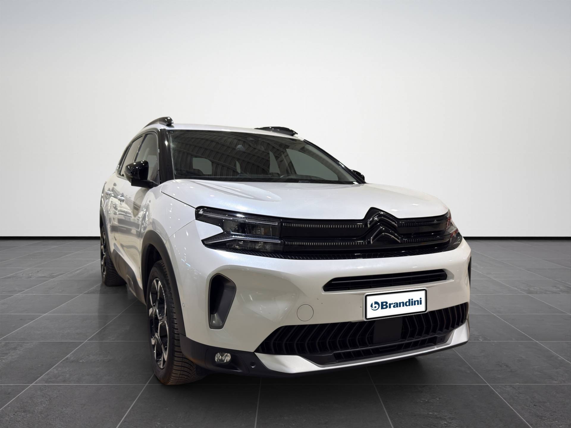 CITROEN C5 Aircross C5 Aircross 1.5 bluehdi Shine s&s 130cv eat8 usata in pronta consegna - Brandini