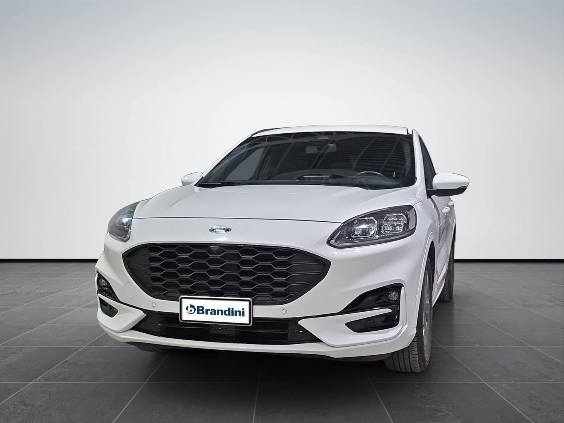 FORD Kuga Kuga 2.0 ecoblue ST-Line X 2wd 120cv auto usata in pronta consegna - Brandini