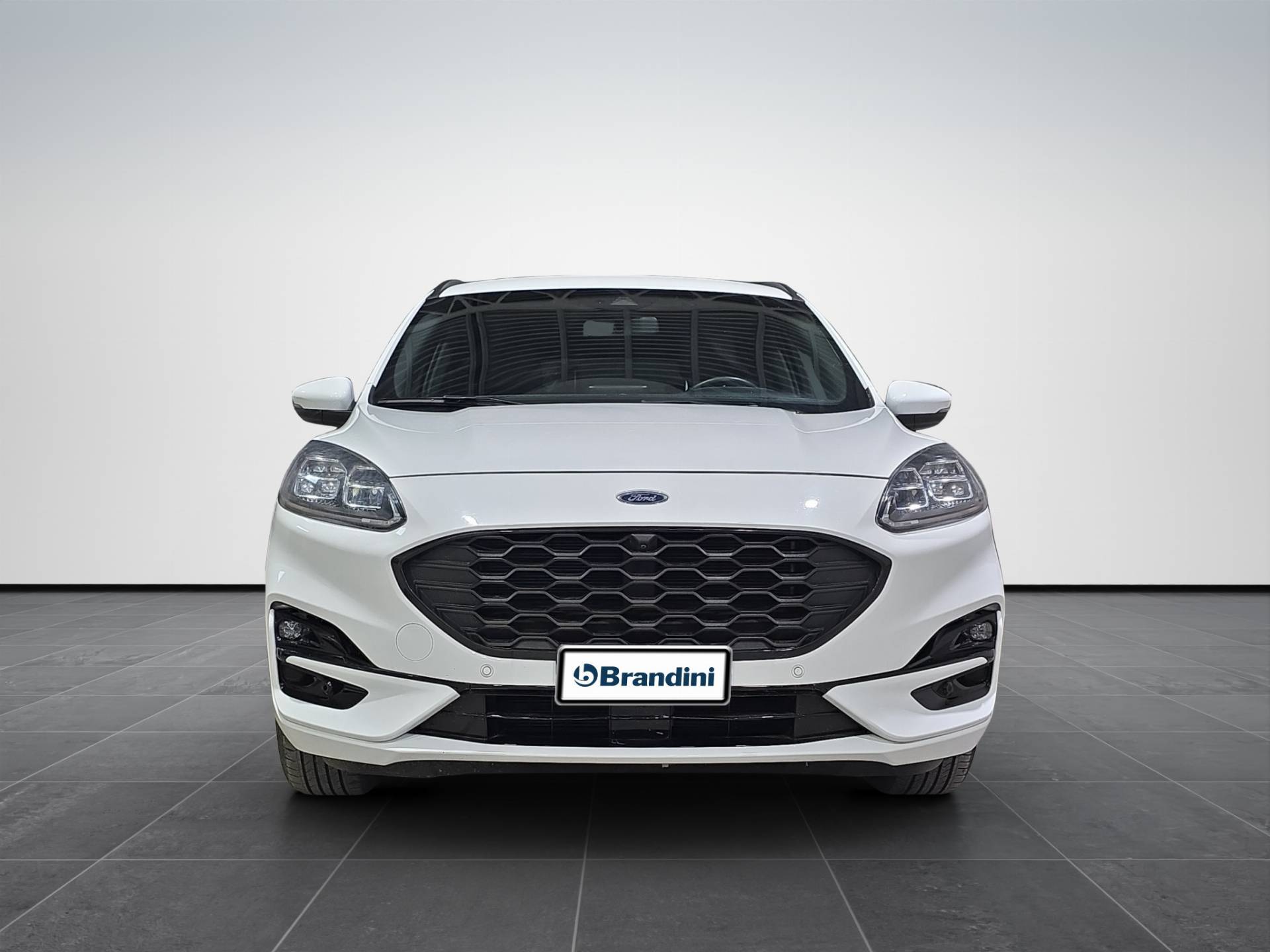 FORD Kuga Kuga 2.0 ecoblue ST-Line X 2wd 120cv auto usata in pronta consegna - Brandini