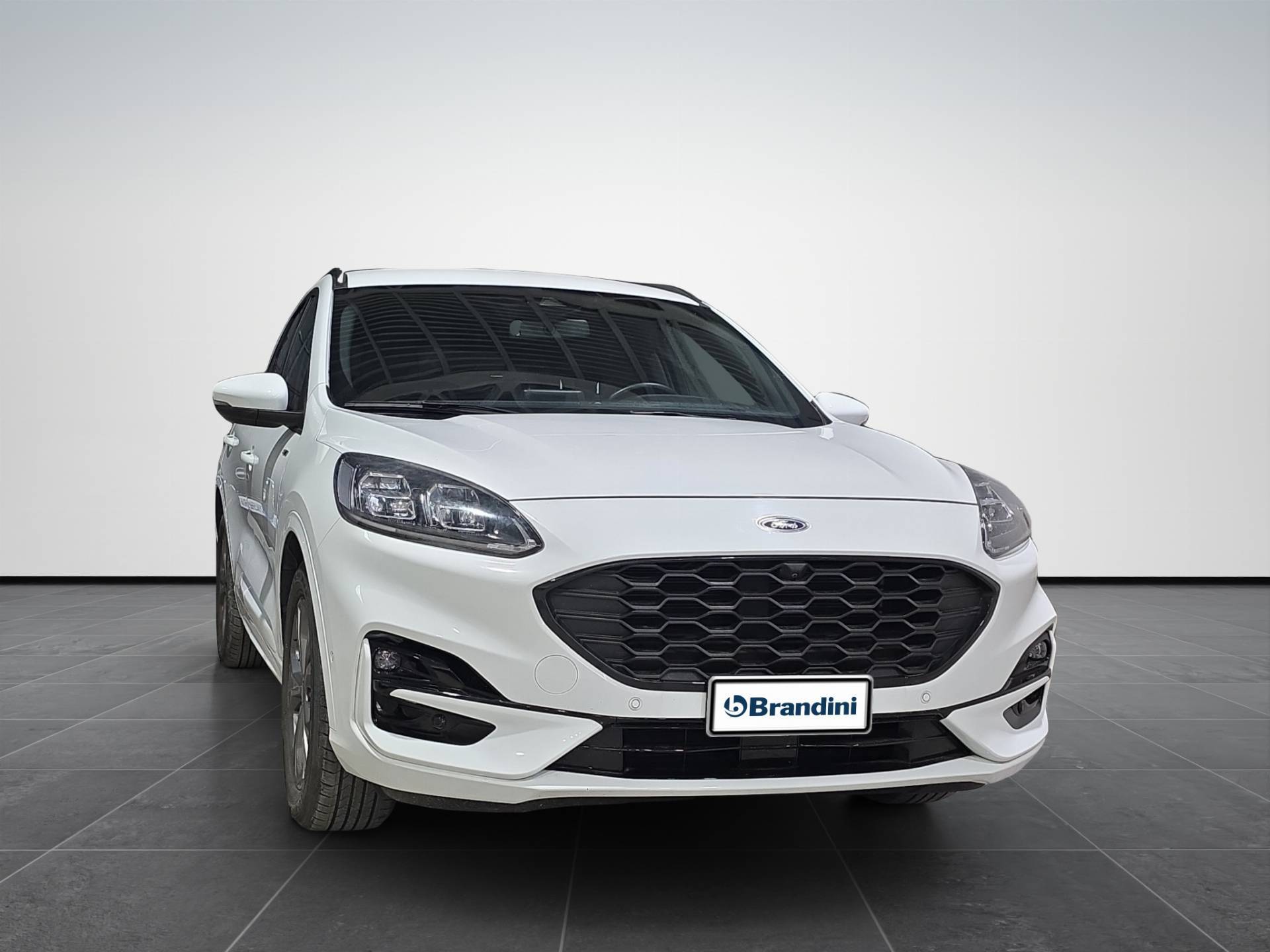 FORD Kuga Kuga 2.0 ecoblue ST-Line X 2wd 120cv auto usata in pronta consegna - Brandini
