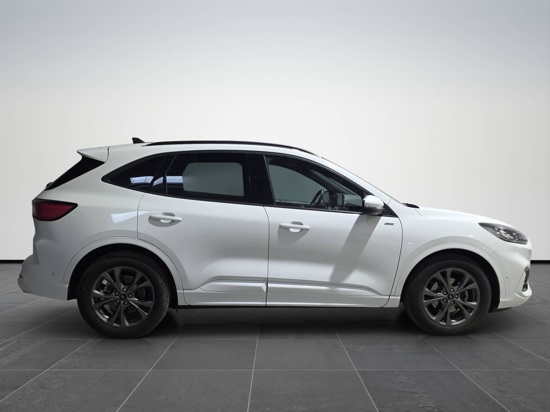 FORD Kuga Kuga 2.0 ecoblue ST-Line X 2wd 120cv auto usata in pronta consegna - Brandini