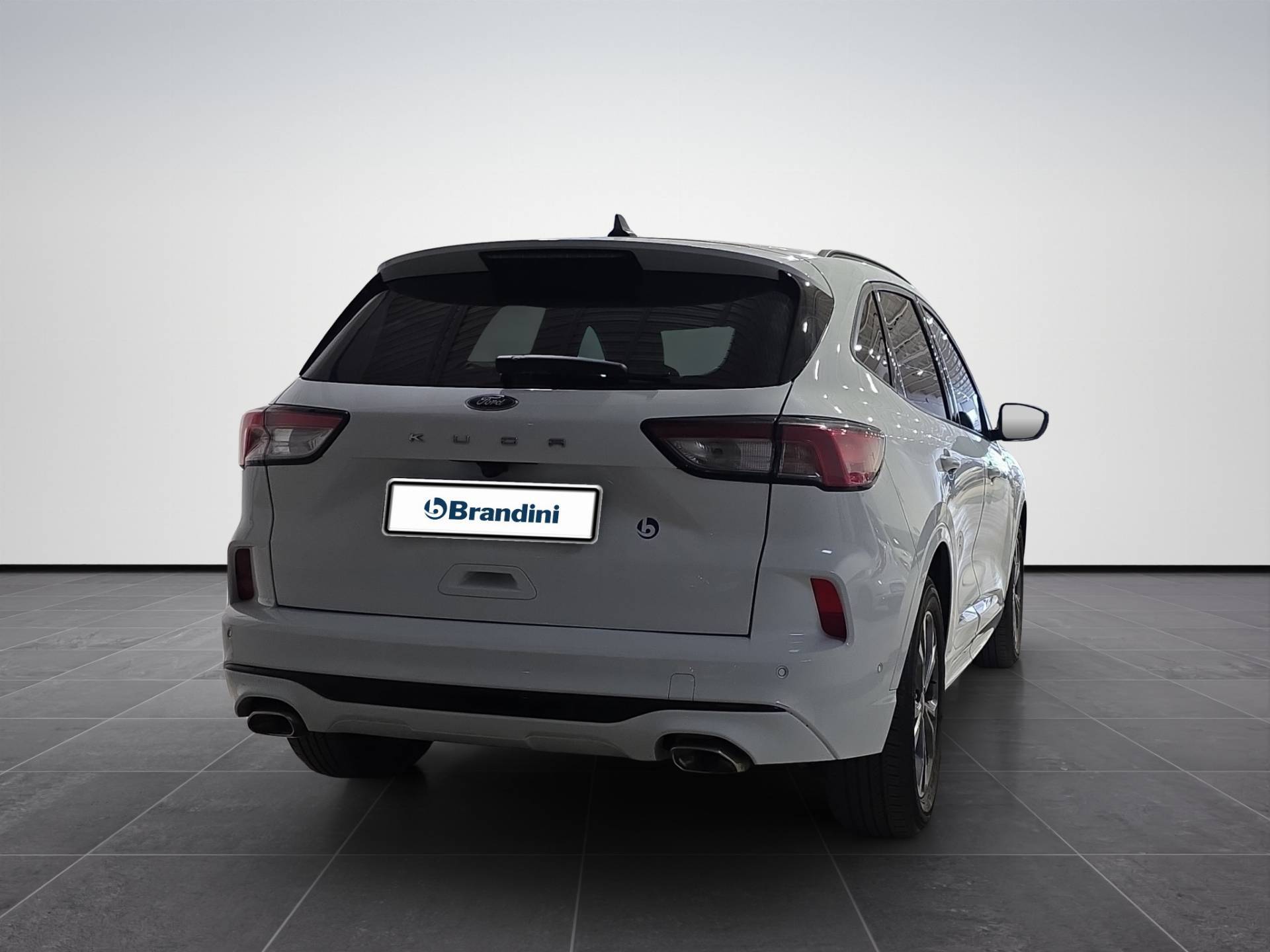 FORD Kuga Kuga 2.0 ecoblue ST-Line X 2wd 120cv auto usata in pronta consegna - Brandini