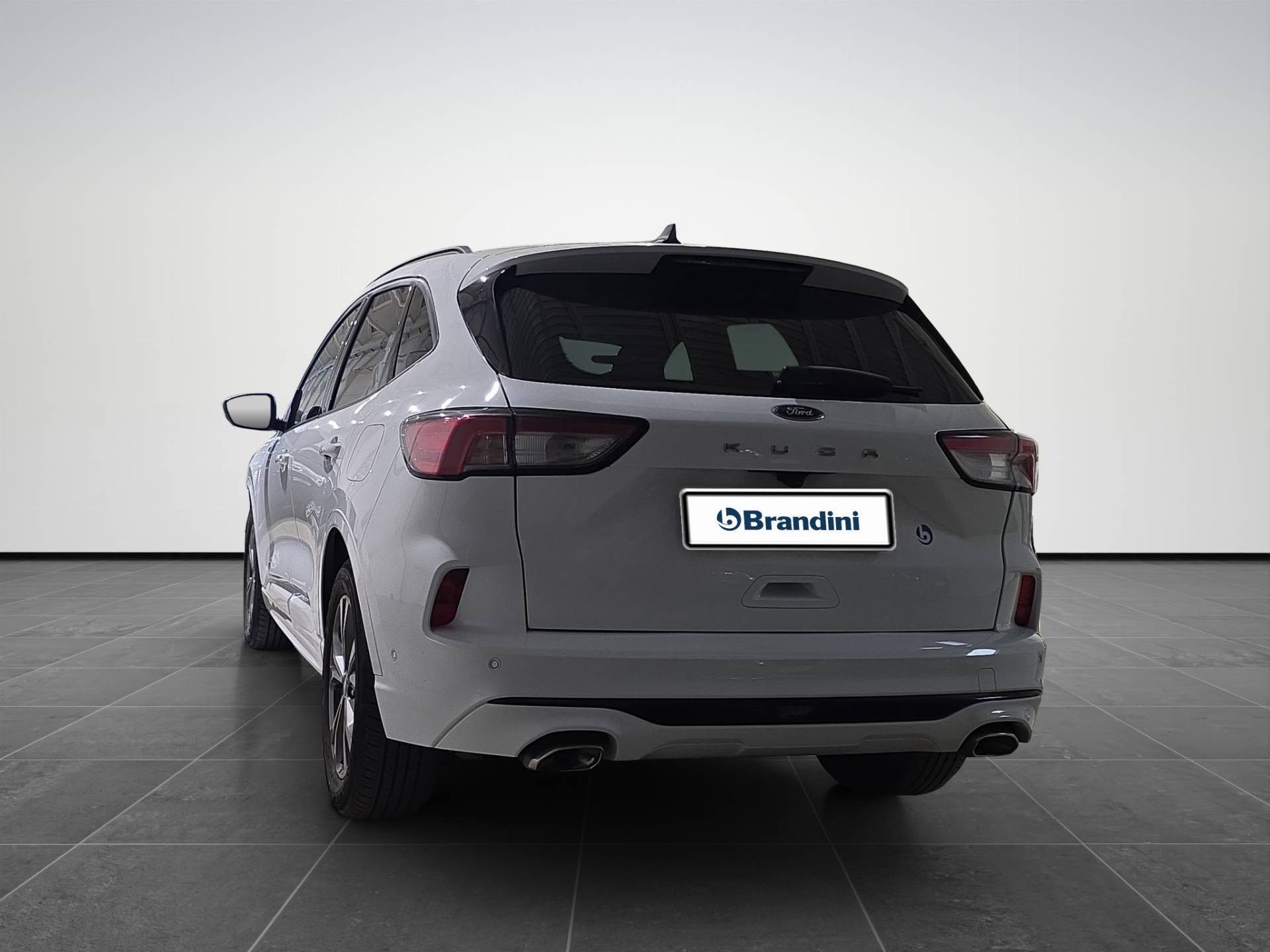 FORD Kuga Kuga 2.0 ecoblue ST-Line X 2wd 120cv auto usata in pronta consegna - Brandini