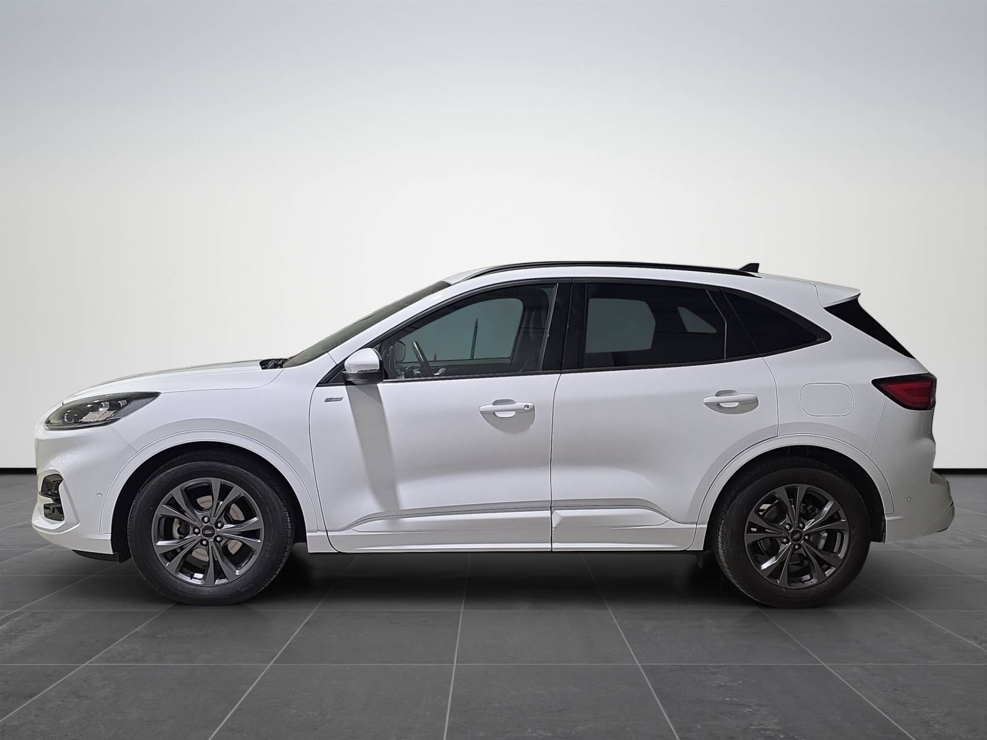 FORD Kuga Kuga 2.0 ecoblue ST-Line X 2wd 120cv auto usata in pronta consegna - Brandini