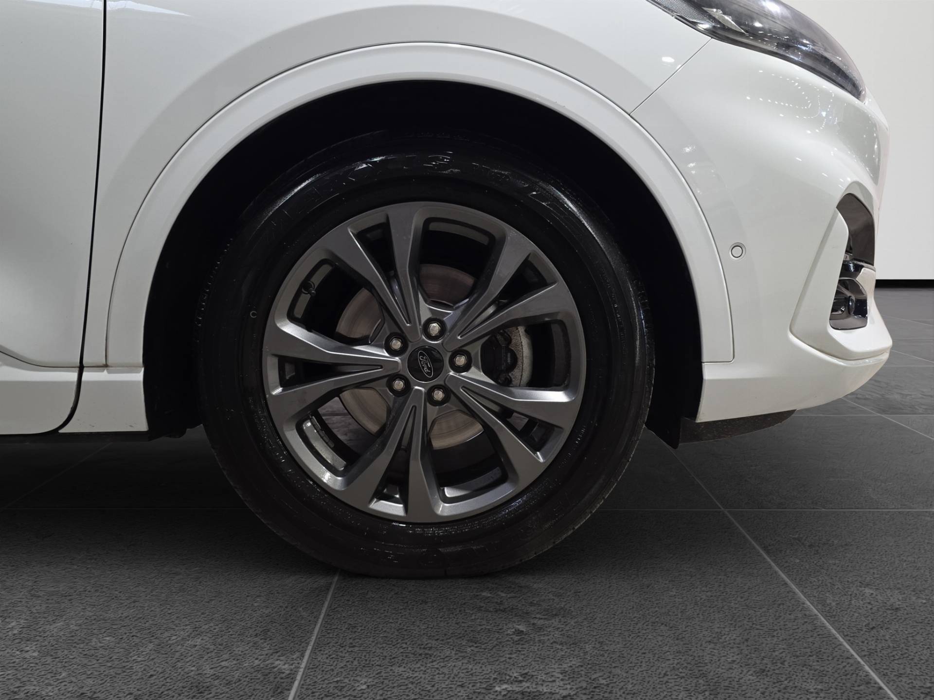 FORD Kuga Kuga 2.0 ecoblue ST-Line X 2wd 120cv auto usata in pronta consegna - Brandini