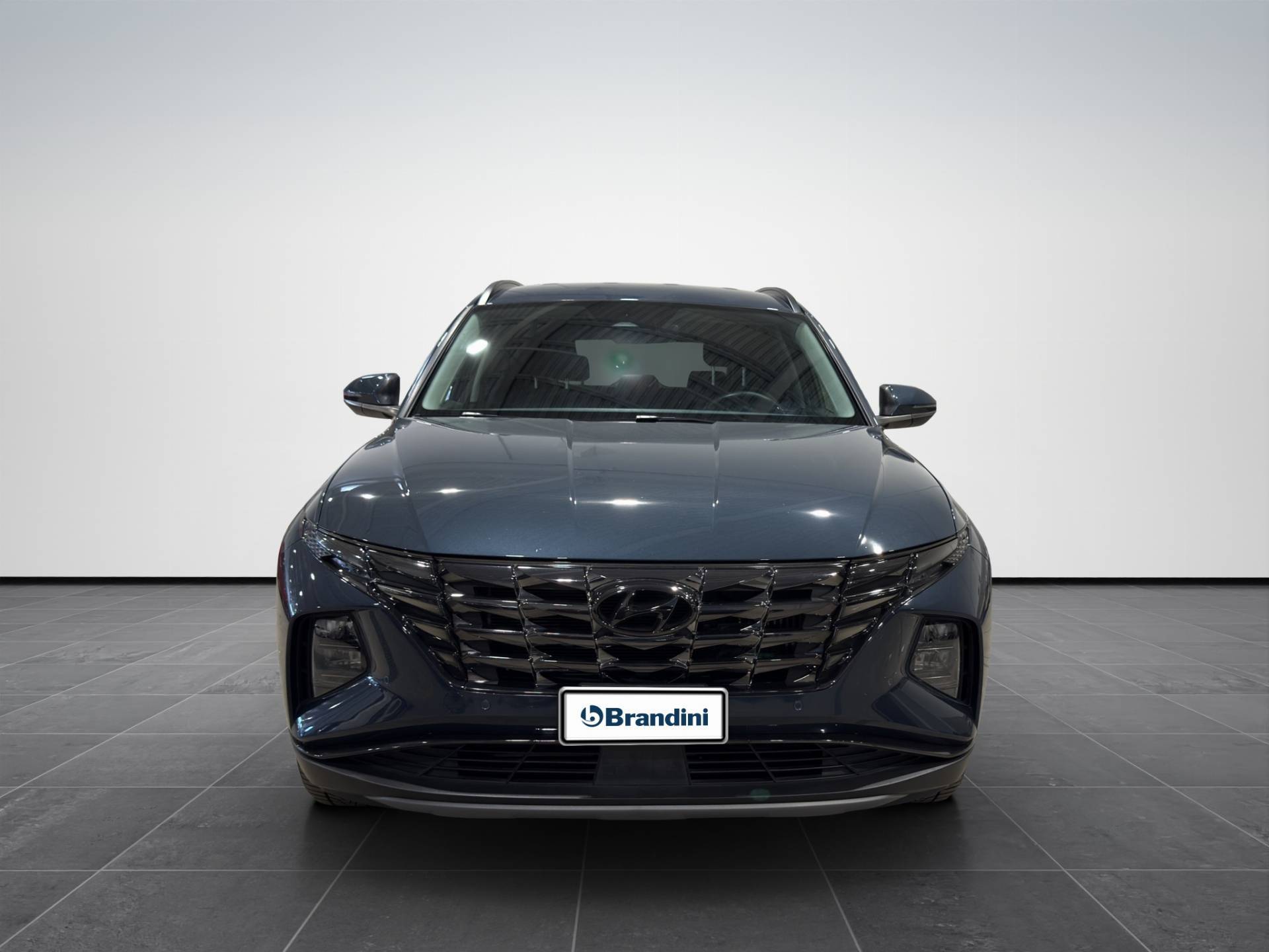 HYUNDAI Tucson Tucson 1.6 hev Exellence Lounge Pack 4wd auto usata in pronta consegna - Brandini