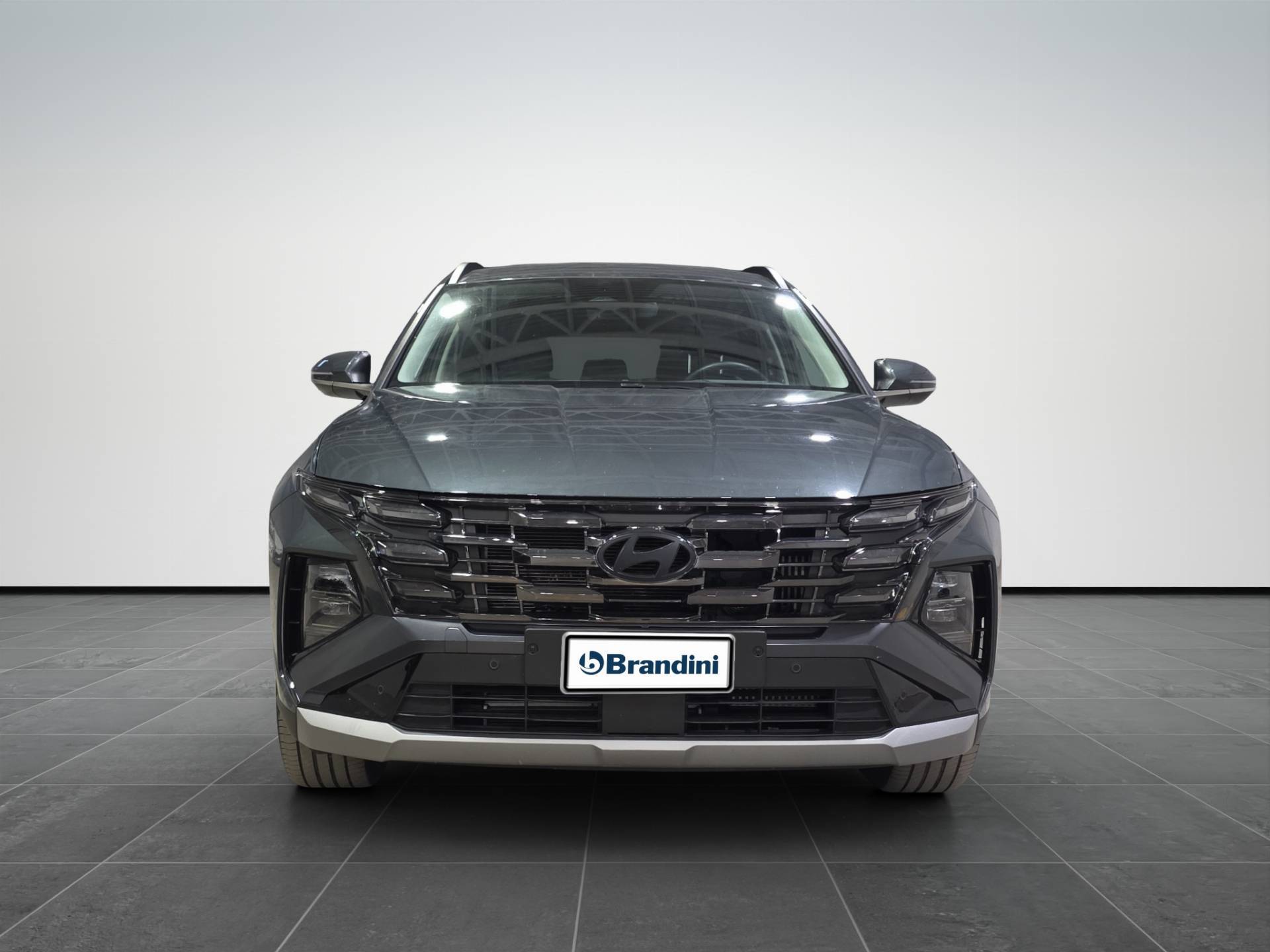 HYUNDAI Tucson Tucson 1.6 hev Exellence 2wd auto usata in pronta consegna - Brandini