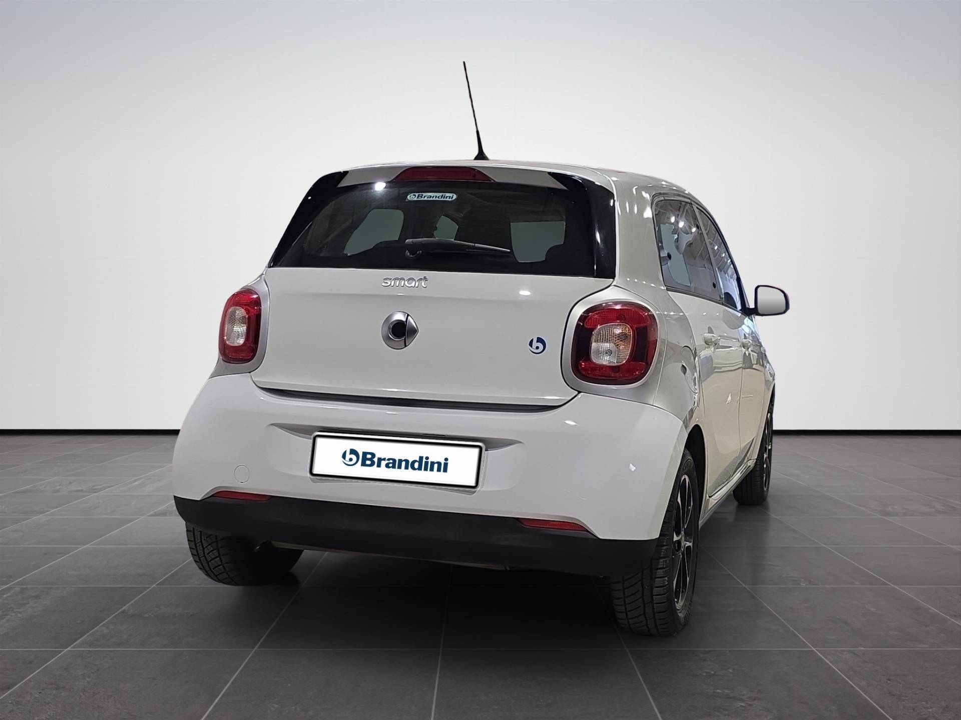 Auto Venduta - SMART Forfour Forfour 1.0 Passion 71cv usata in pronta consegna - Brandini