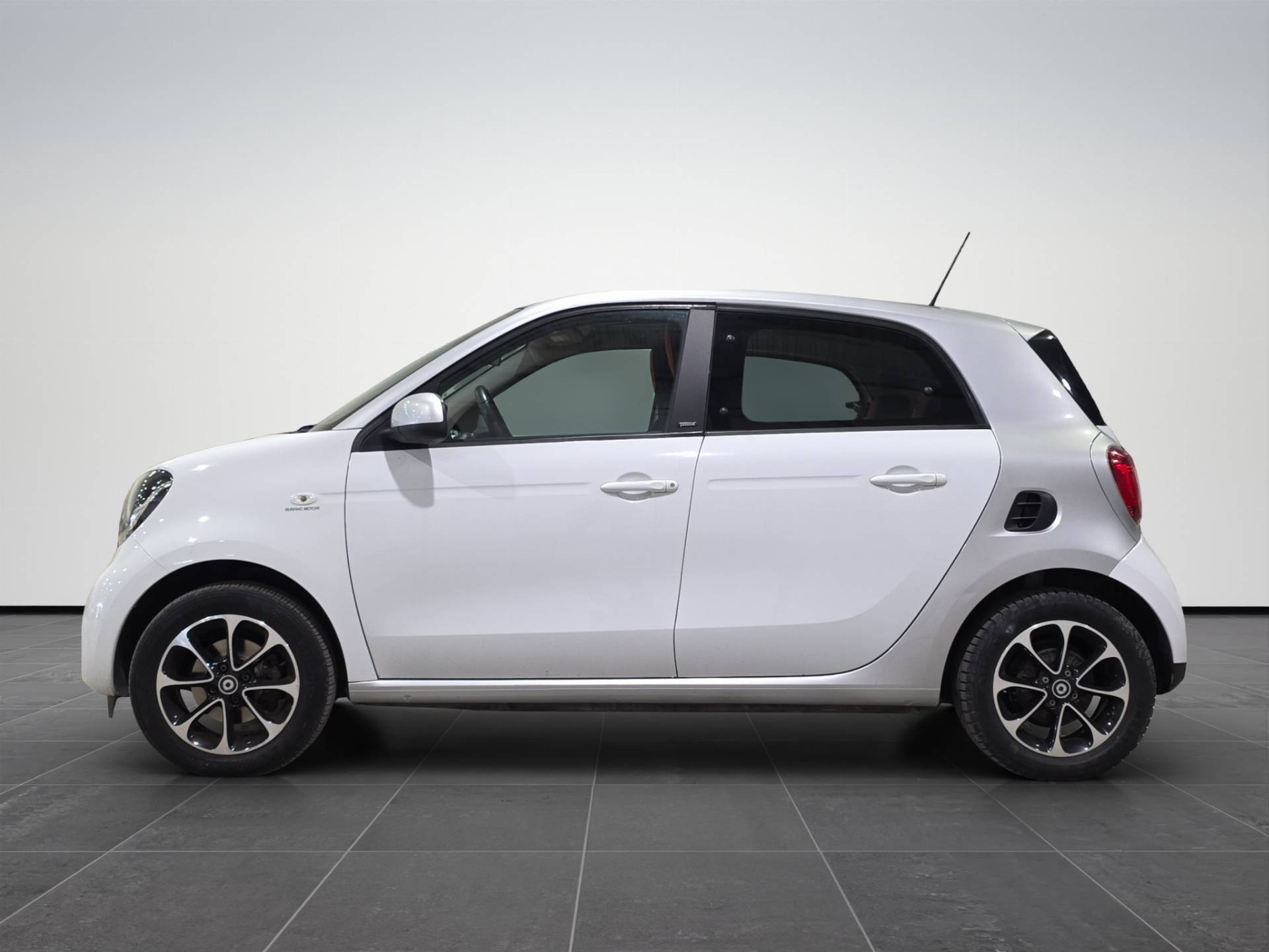 Auto Venduta - SMART Forfour Forfour 1.0 Passion 71cv usata in pronta consegna - Brandini