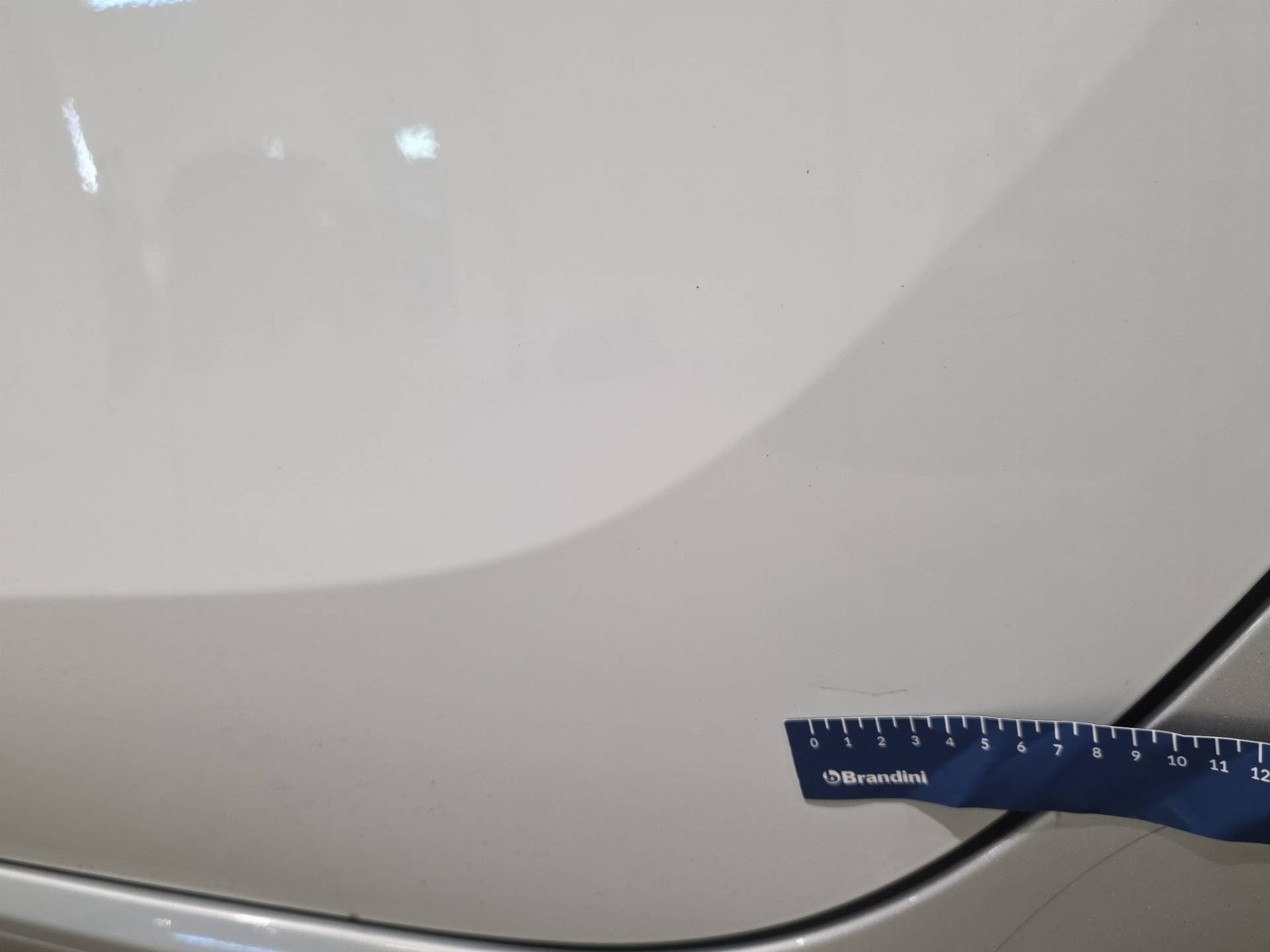 Auto Venduta - SMART Forfour Forfour 1.0 Passion 71cv usata in pronta consegna - Brandini