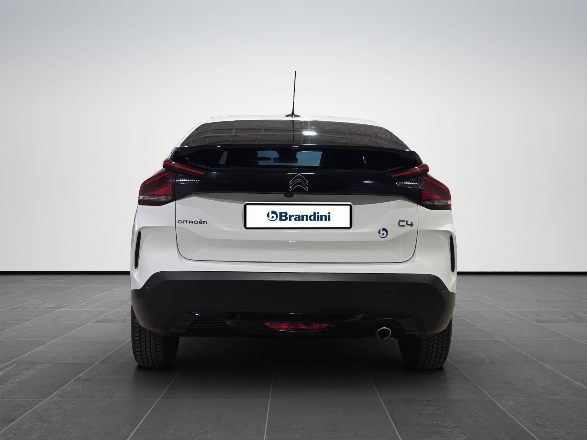 CITROEN C4 C4 1.5 bluehdi Shine s&s 130cv eat8 usata in pronta consegna - Brandini