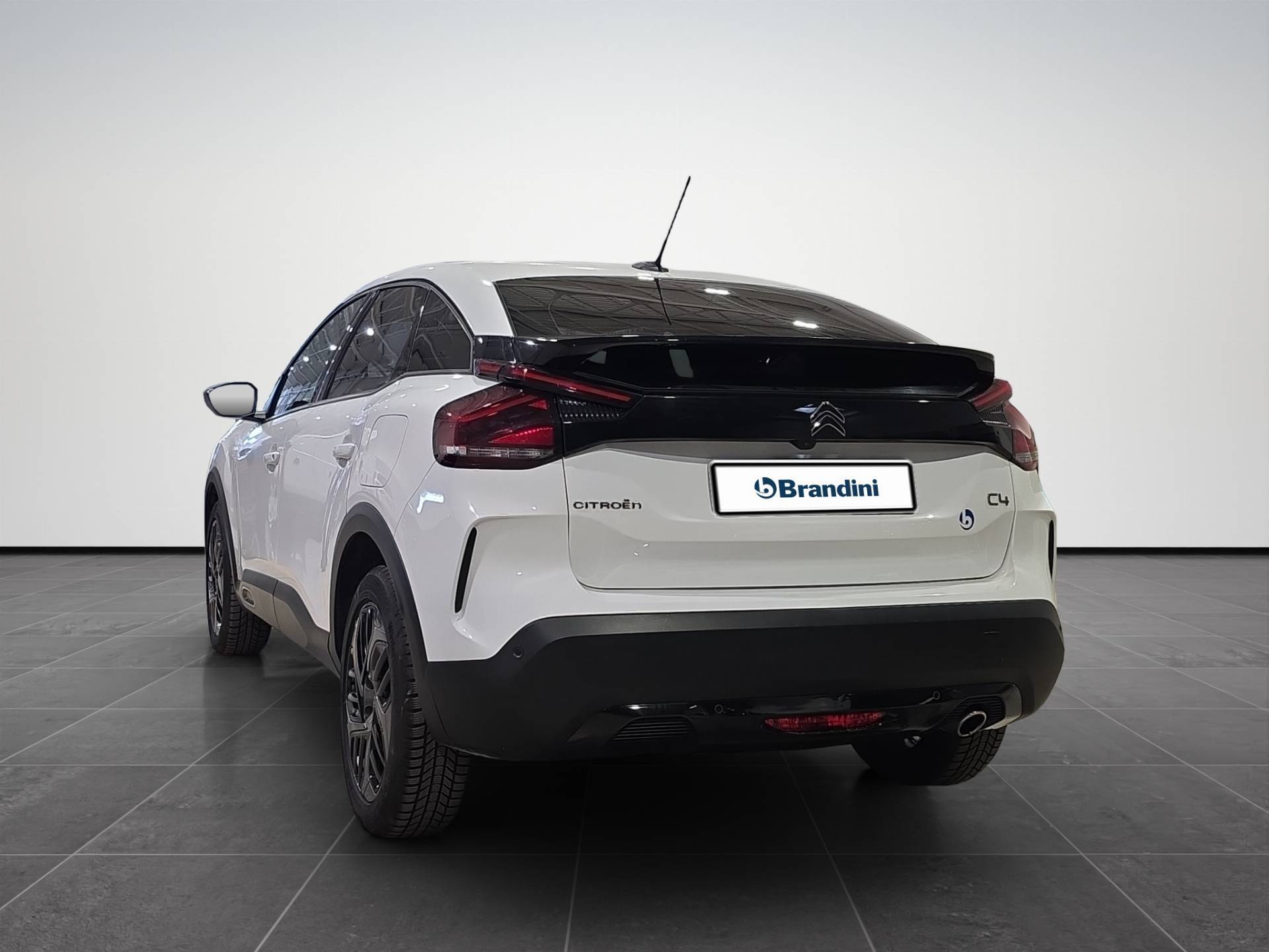 CITROEN C4 C4 1.5 bluehdi Shine s&s 130cv eat8 usata in pronta consegna - Brandini