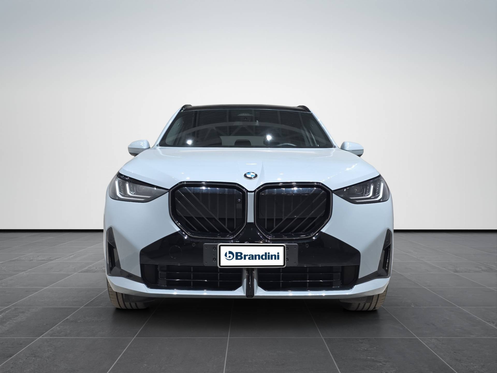 BMW X3 X3 xdrive20d auto usata in pronta consegna - Brandini