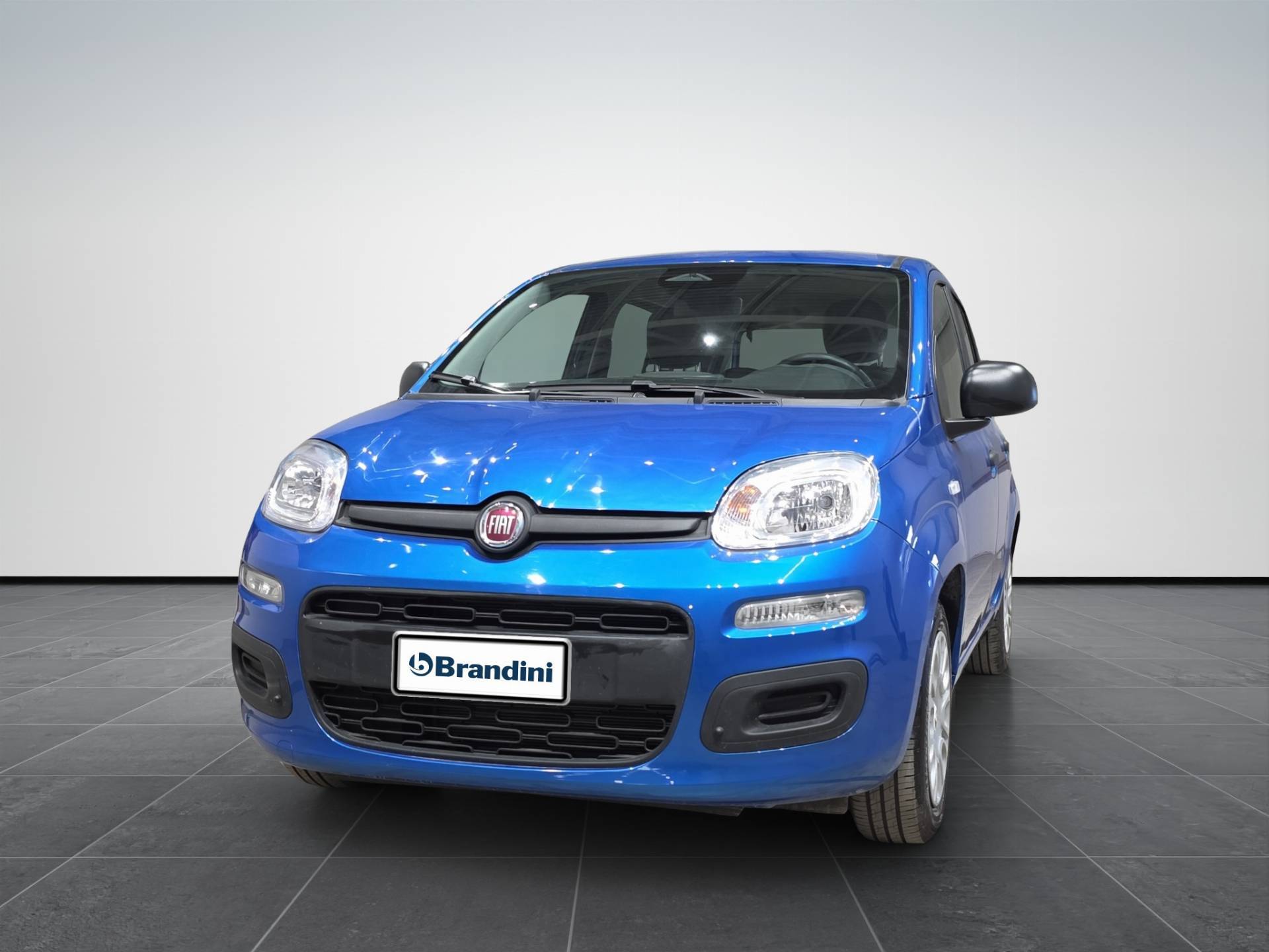 FIAT Panda Panda 1.0 firefly hybrid s&s 70cv 5p.ti usata in pronta consegna - Brandini