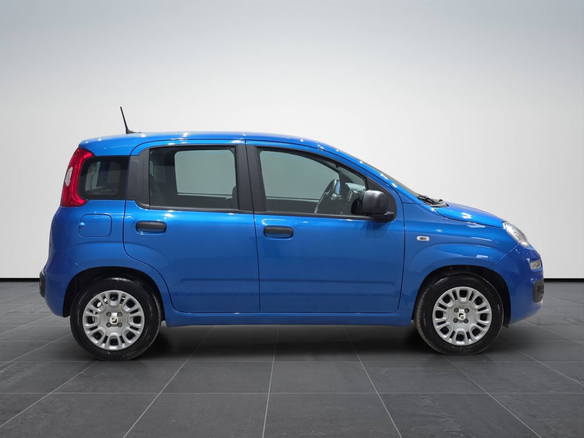 FIAT Panda Panda 1.0 firefly hybrid s&s 70cv 5p.ti usata in pronta consegna - Brandini