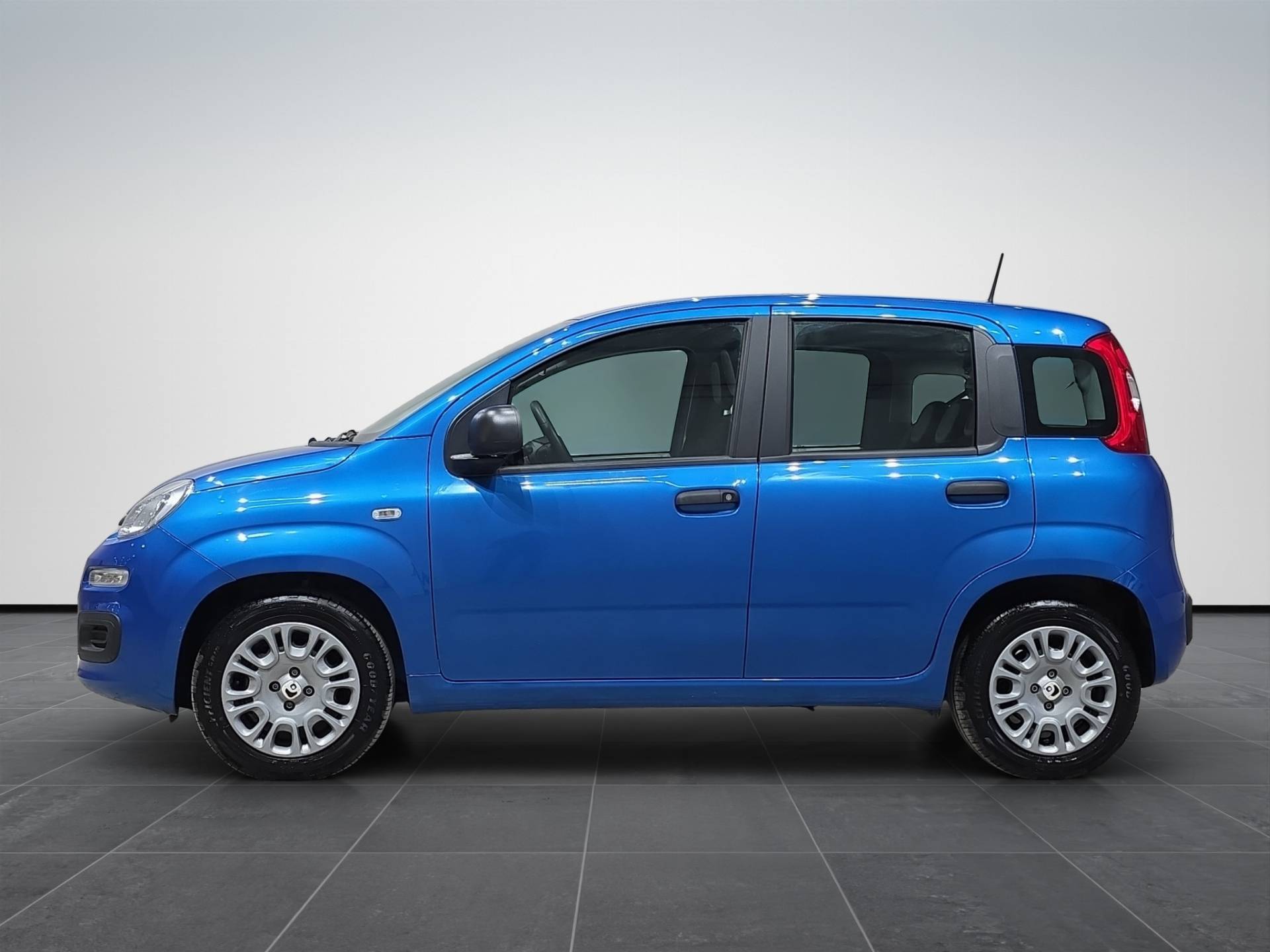 FIAT Panda Panda 1.0 firefly hybrid s&s 70cv 5p.ti usata in pronta consegna - Brandini