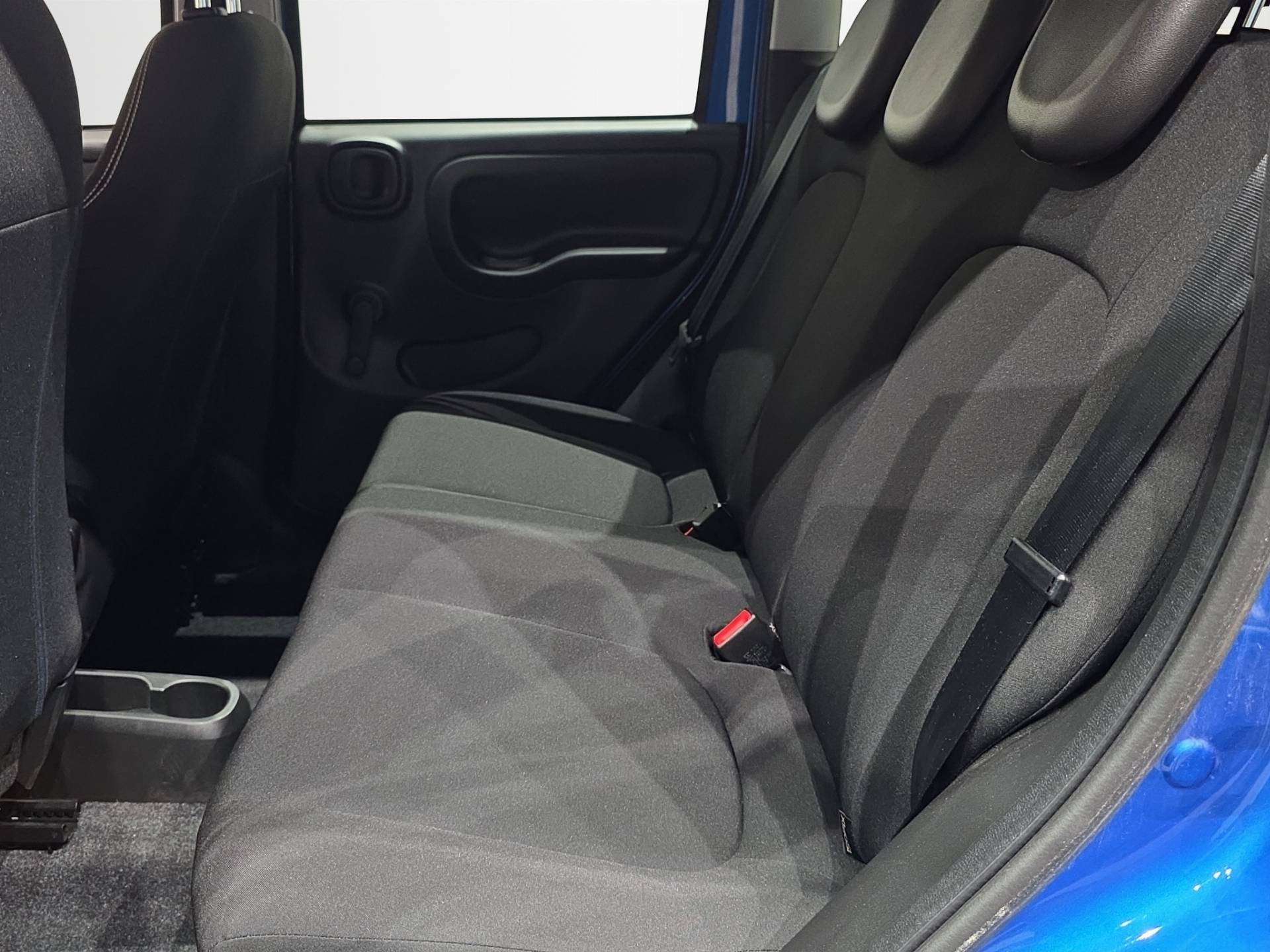 FIAT Panda Panda 1.0 firefly hybrid s&s 70cv 5p.ti usata in pronta consegna - Brandini
