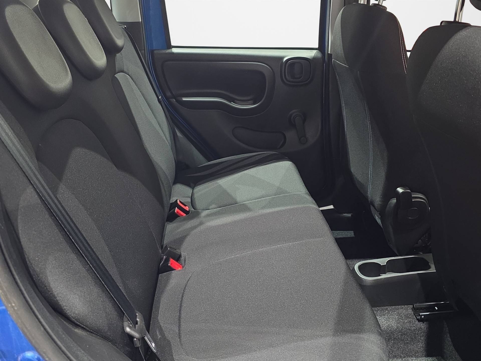 FIAT Panda Panda 1.0 firefly hybrid s&s 70cv 5p.ti usata in pronta consegna - Brandini