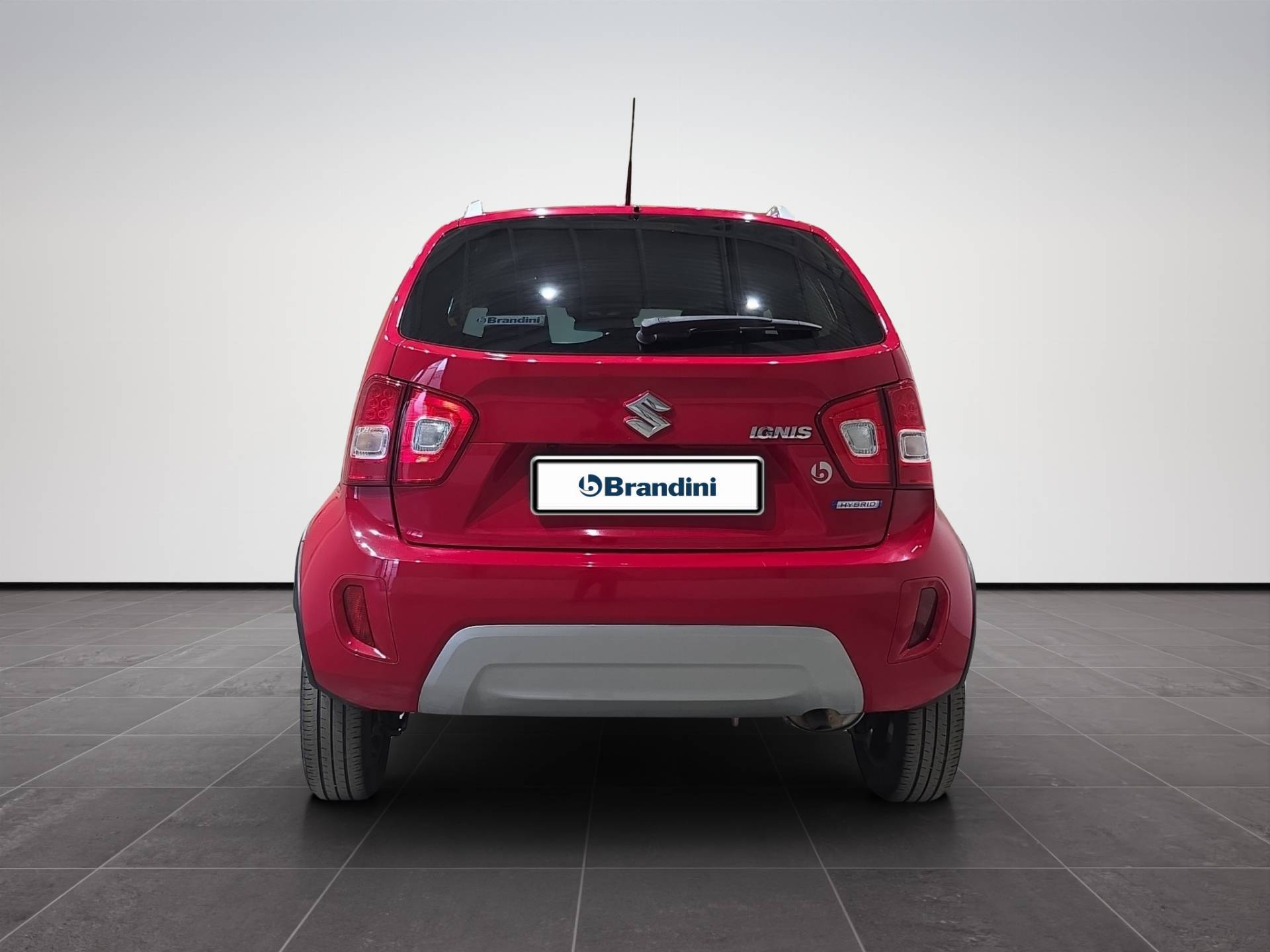 SUZUKI Ignis Ignis 1.2 hybrid Top 2wd usata in pronta consegna - Brandini