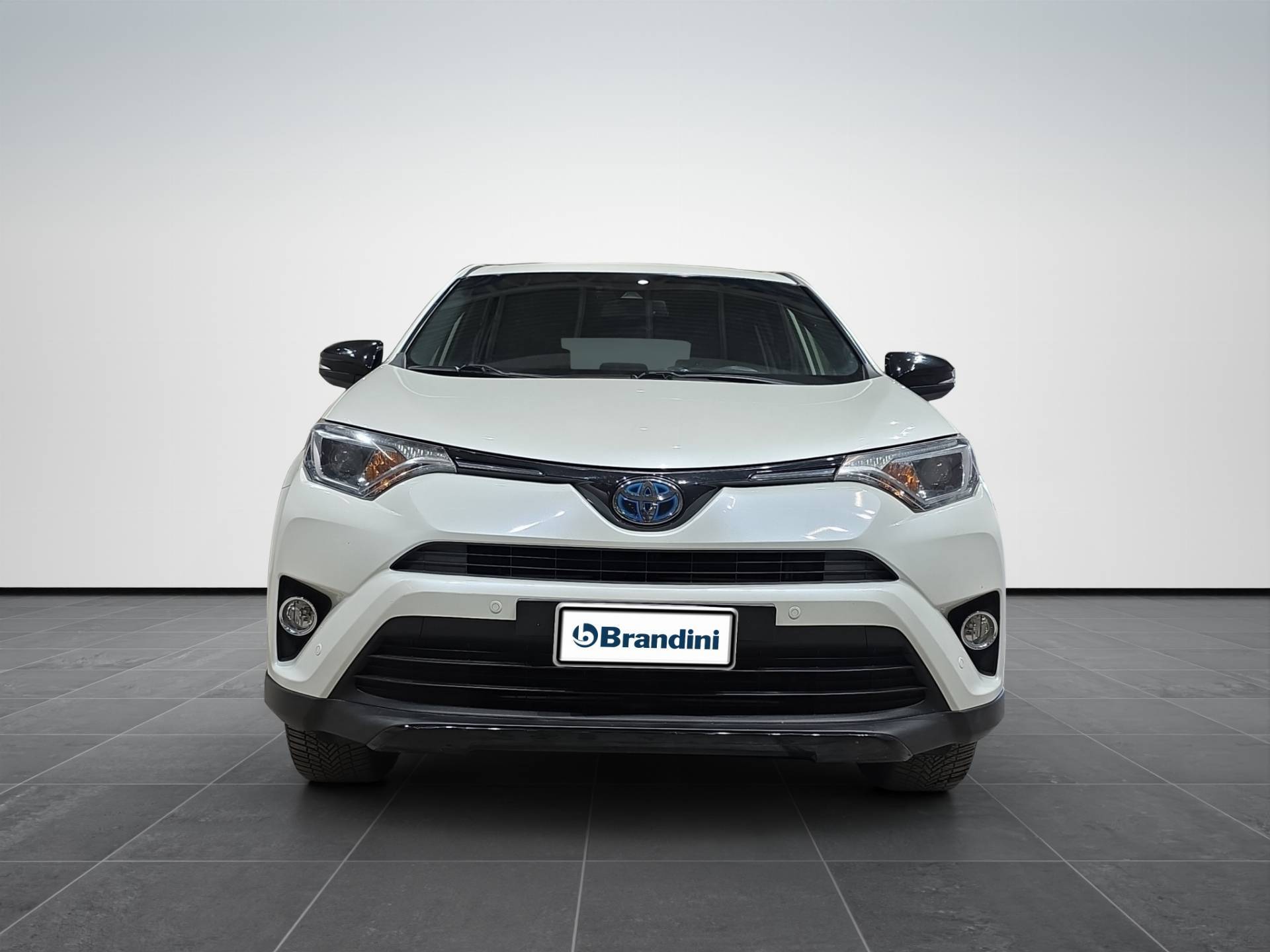 TOYOTA Rav4 Rav4 2.5 vvt-i hybrid Business 2wd e-cvt my17 usata in pronta consegna - Brandini