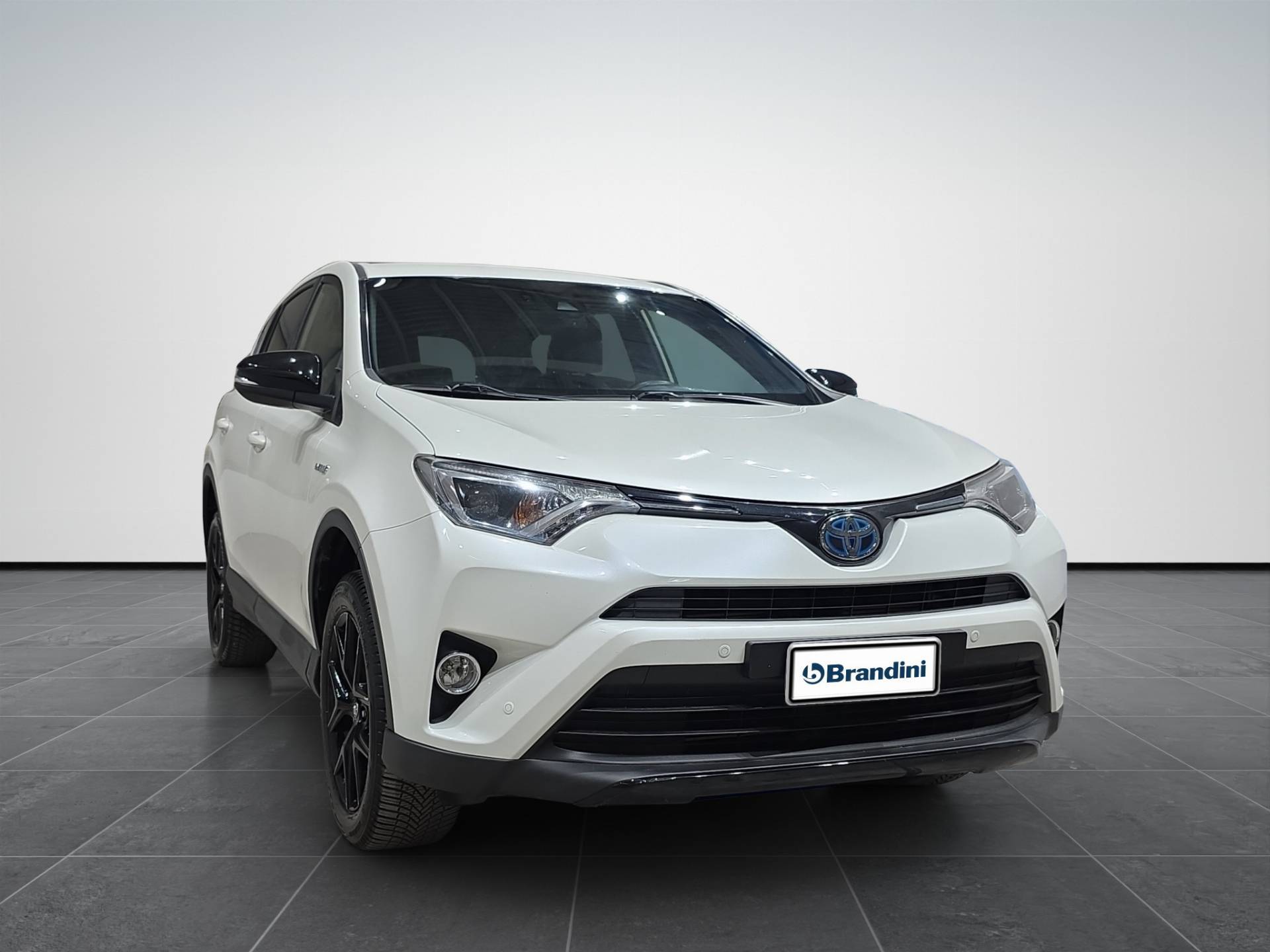 TOYOTA Rav4 Rav4 2.5 vvt-i hybrid Business 2wd e-cvt my17 usata in pronta consegna - Brandini