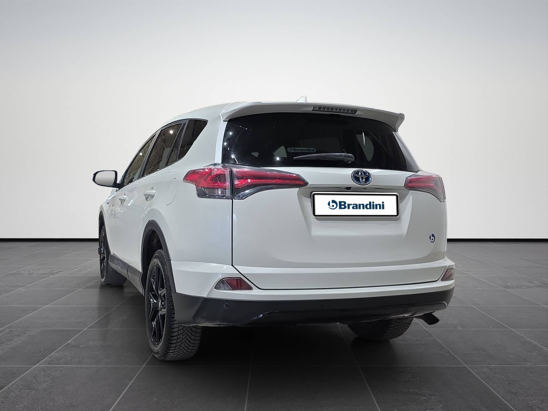 TOYOTA Rav4 Rav4 2.5 vvt-i hybrid Business 2wd e-cvt my17 usata in pronta consegna - Brandini