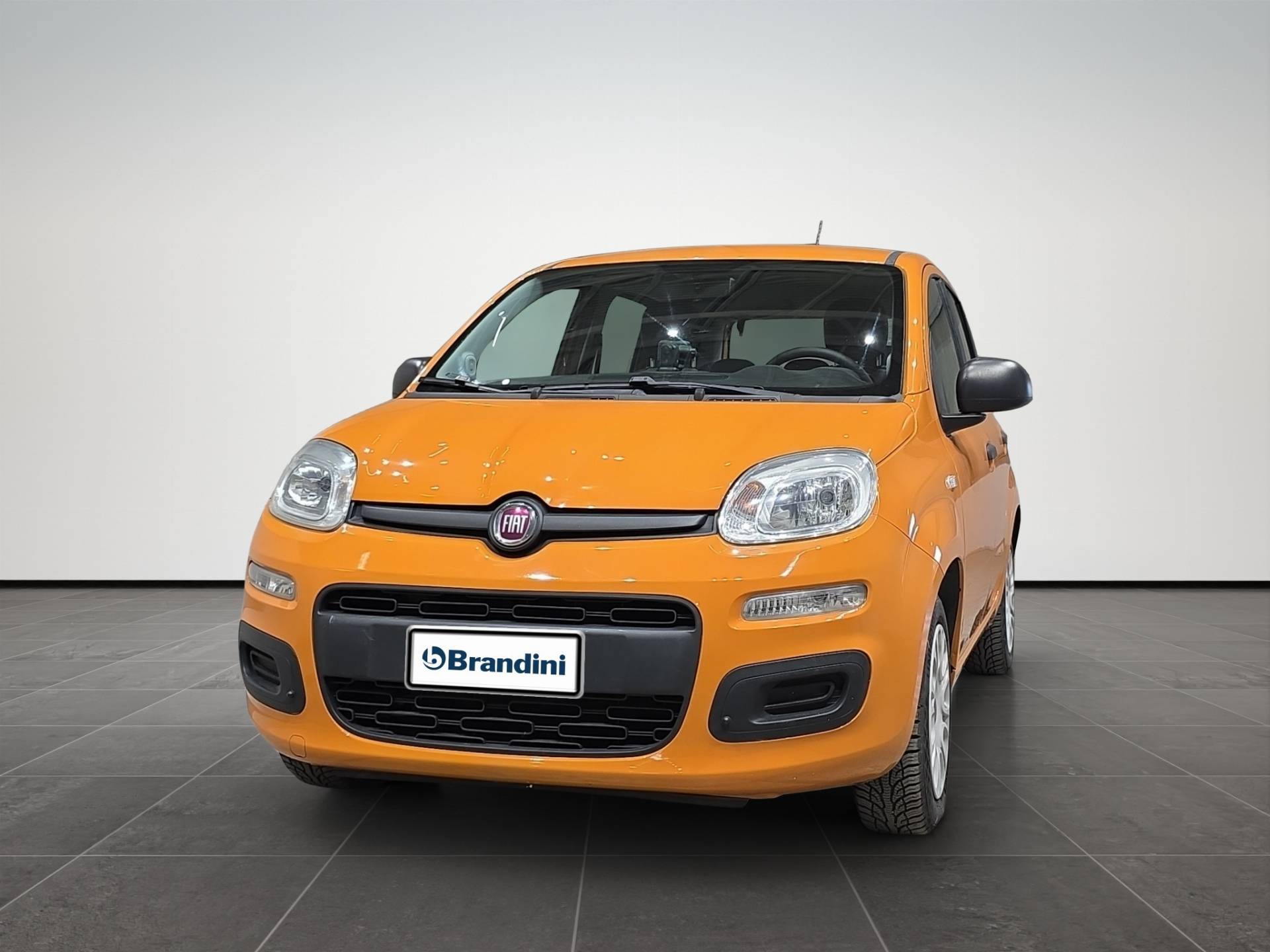 Auto Venduta - FIAT Panda Panda 1.2 Easy 69cv E6 usata in pronta consegna - Brandini
