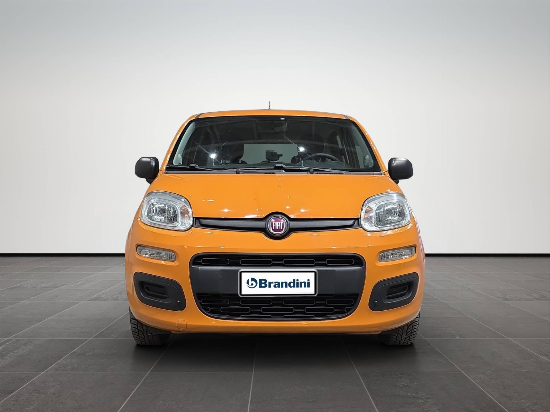 Auto Venduta - FIAT Panda Panda 1.2 Easy 69cv E6 usata in pronta consegna - Brandini