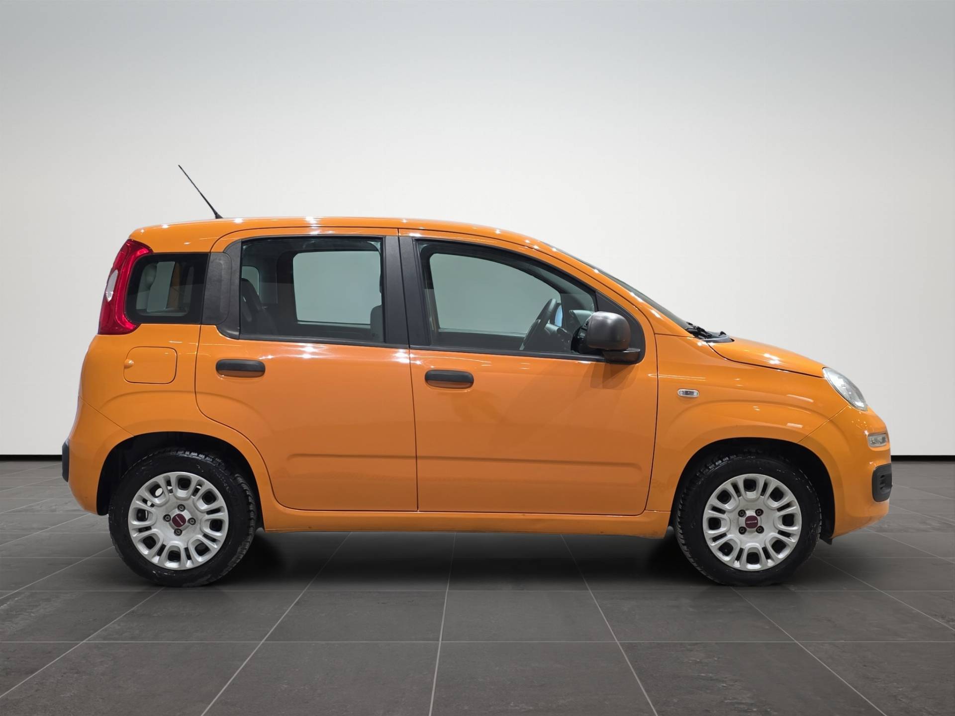 Auto Venduta - FIAT Panda Panda 1.2 Easy 69cv E6 usata in pronta consegna - Brandini