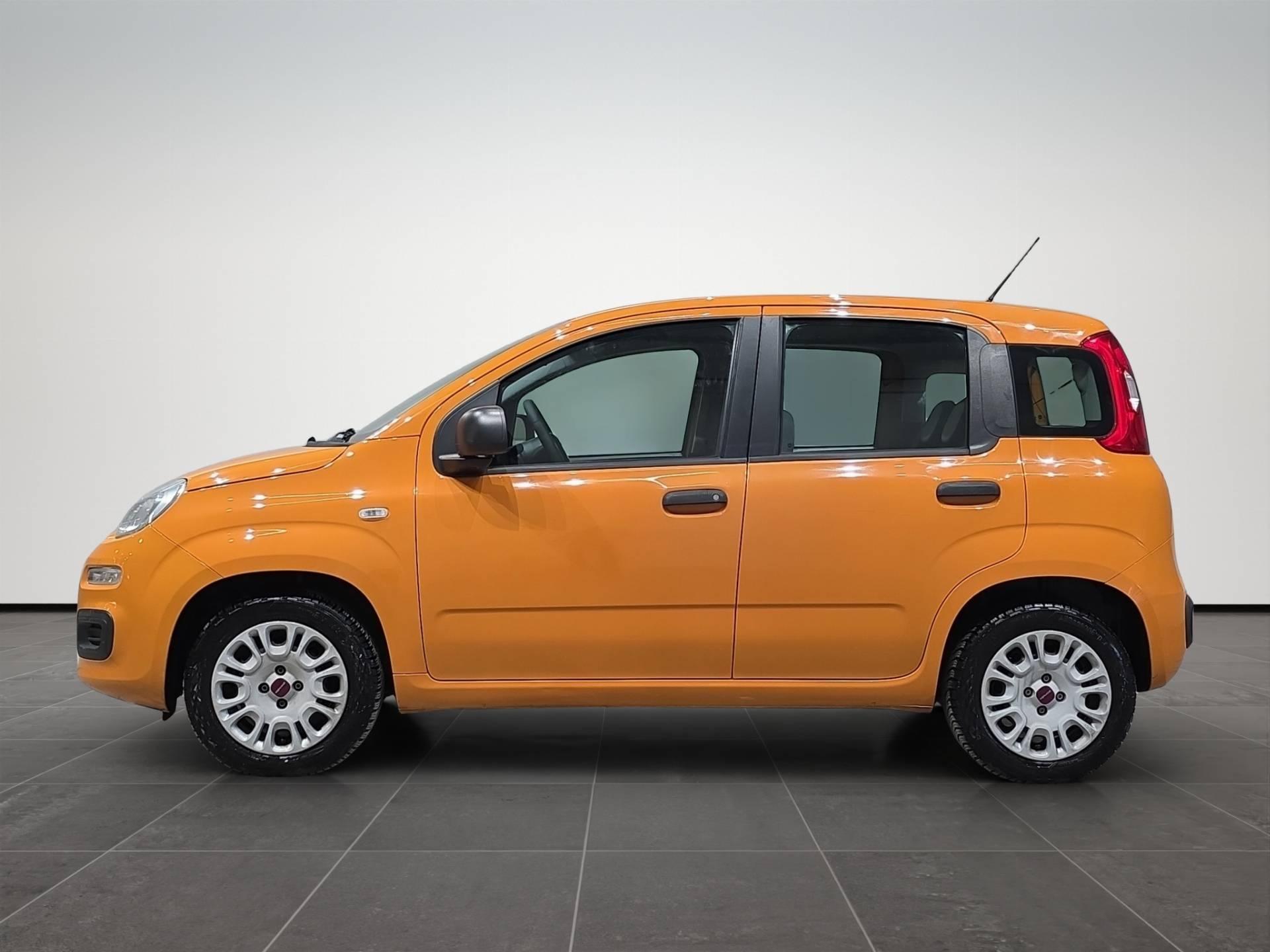 Auto Venduta - FIAT Panda Panda 1.2 Easy 69cv E6 usata in pronta consegna - Brandini