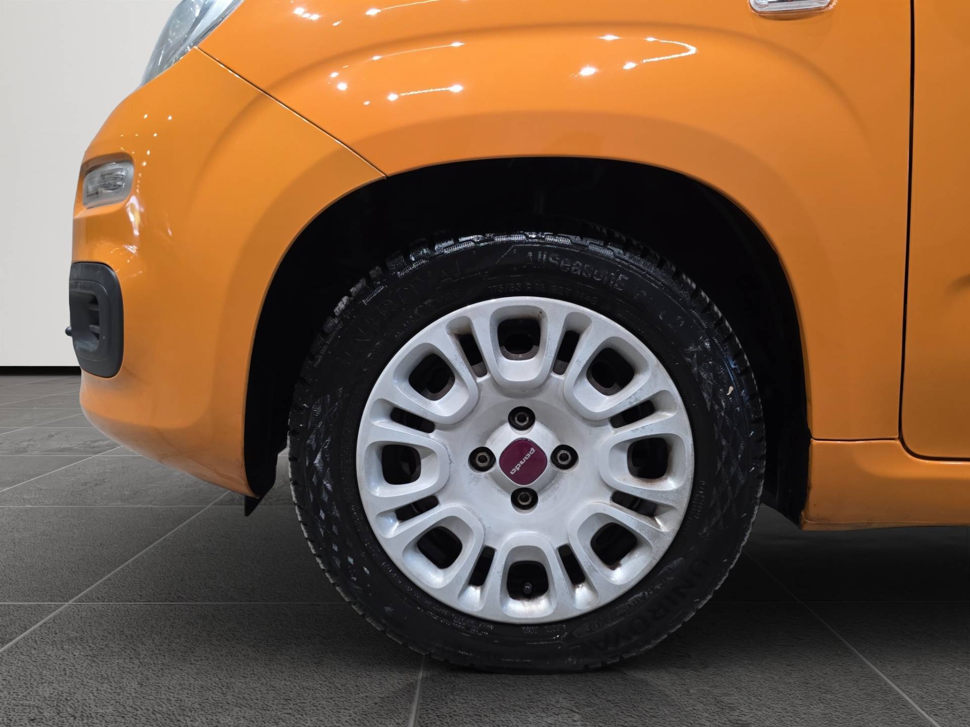Auto Venduta - FIAT Panda Panda 1.2 Easy 69cv E6 usata in pronta consegna - Brandini