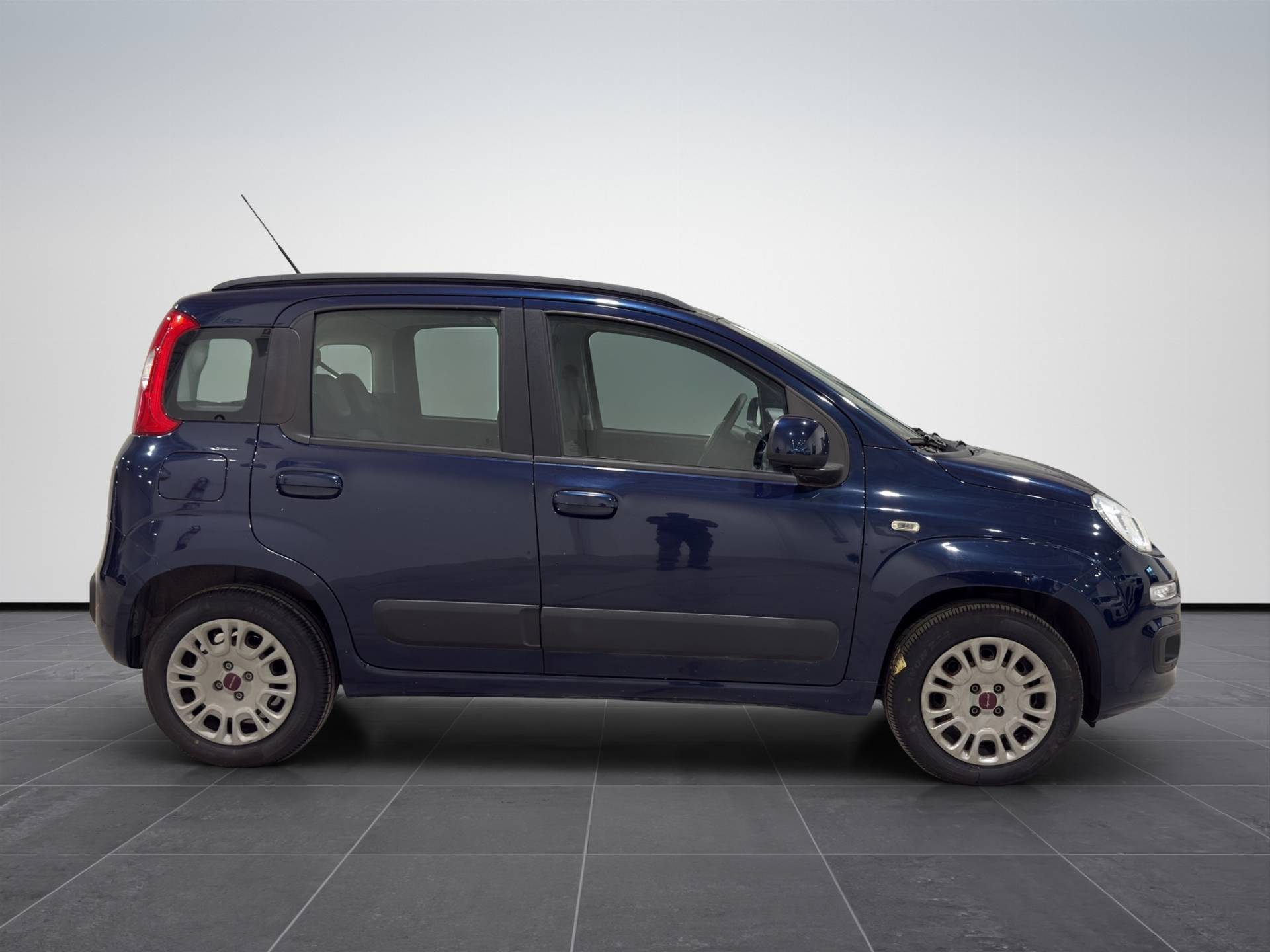 Auto Venduta - FIAT Panda Panda 1.2 Easy 69cv E6 usata in pronta consegna - Brandini