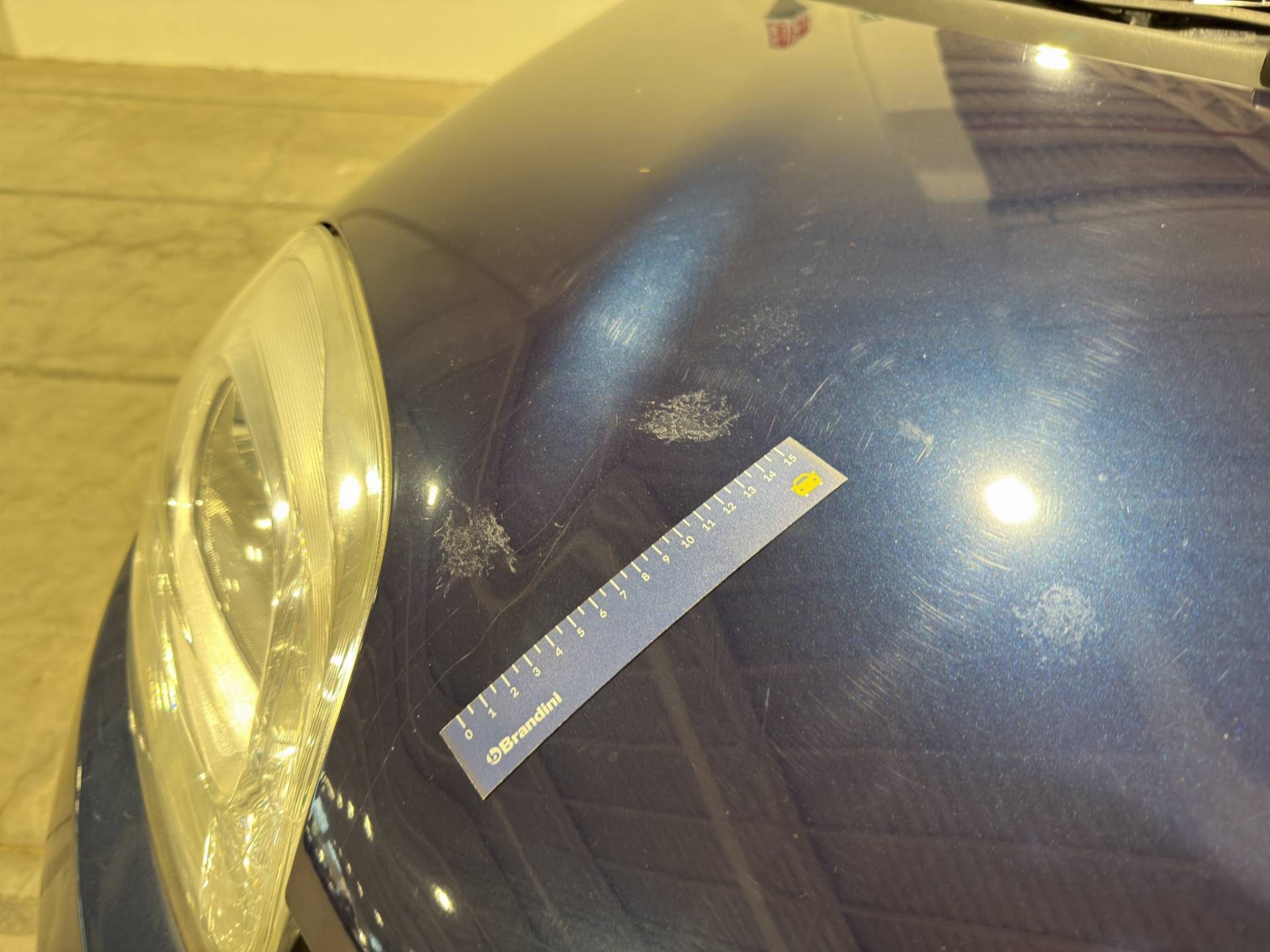 Auto Venduta - FIAT Panda Panda 1.2 Easy 69cv E6 usata in pronta consegna - Brandini