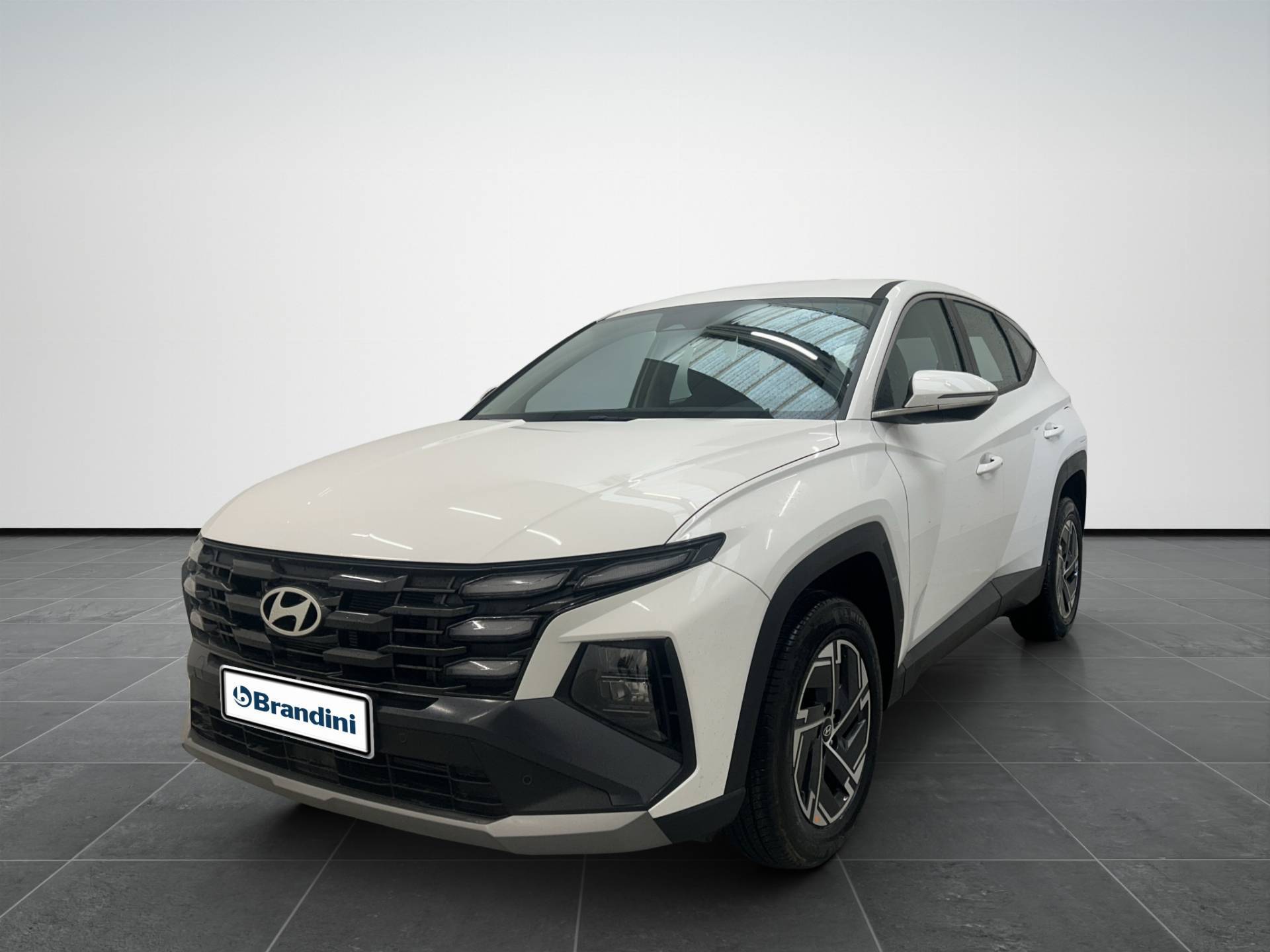 Auto Venduta - HYUNDAI Tucson Tucson 1.6 hev Xtech 2wd 239cv auto usata in pronta consegna - Brandini