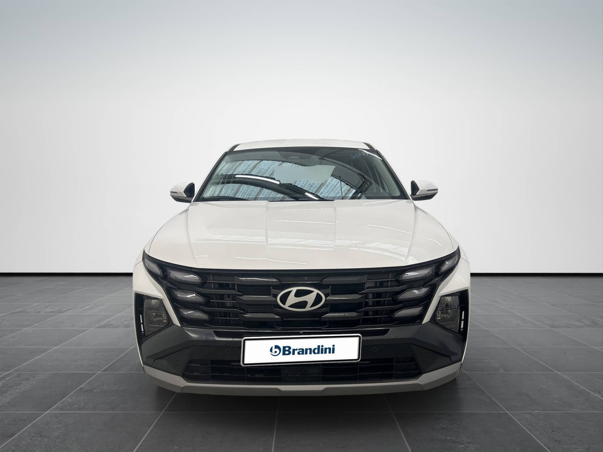 Auto Venduta - HYUNDAI Tucson Tucson 1.6 hev Xtech 2wd 239cv auto usata in pronta consegna - Brandini