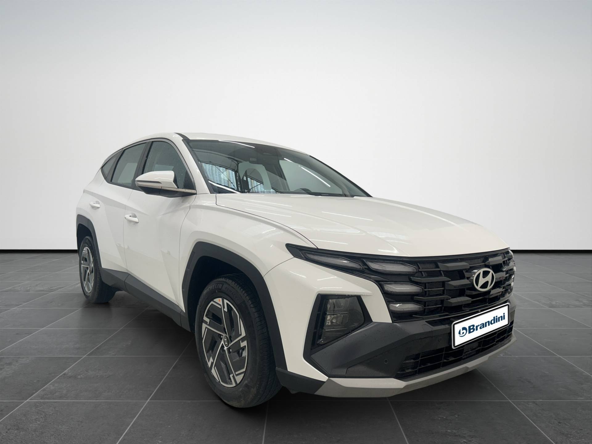 Auto Venduta - HYUNDAI Tucson Tucson 1.6 hev Xtech 2wd 239cv auto usata in pronta consegna - Brandini