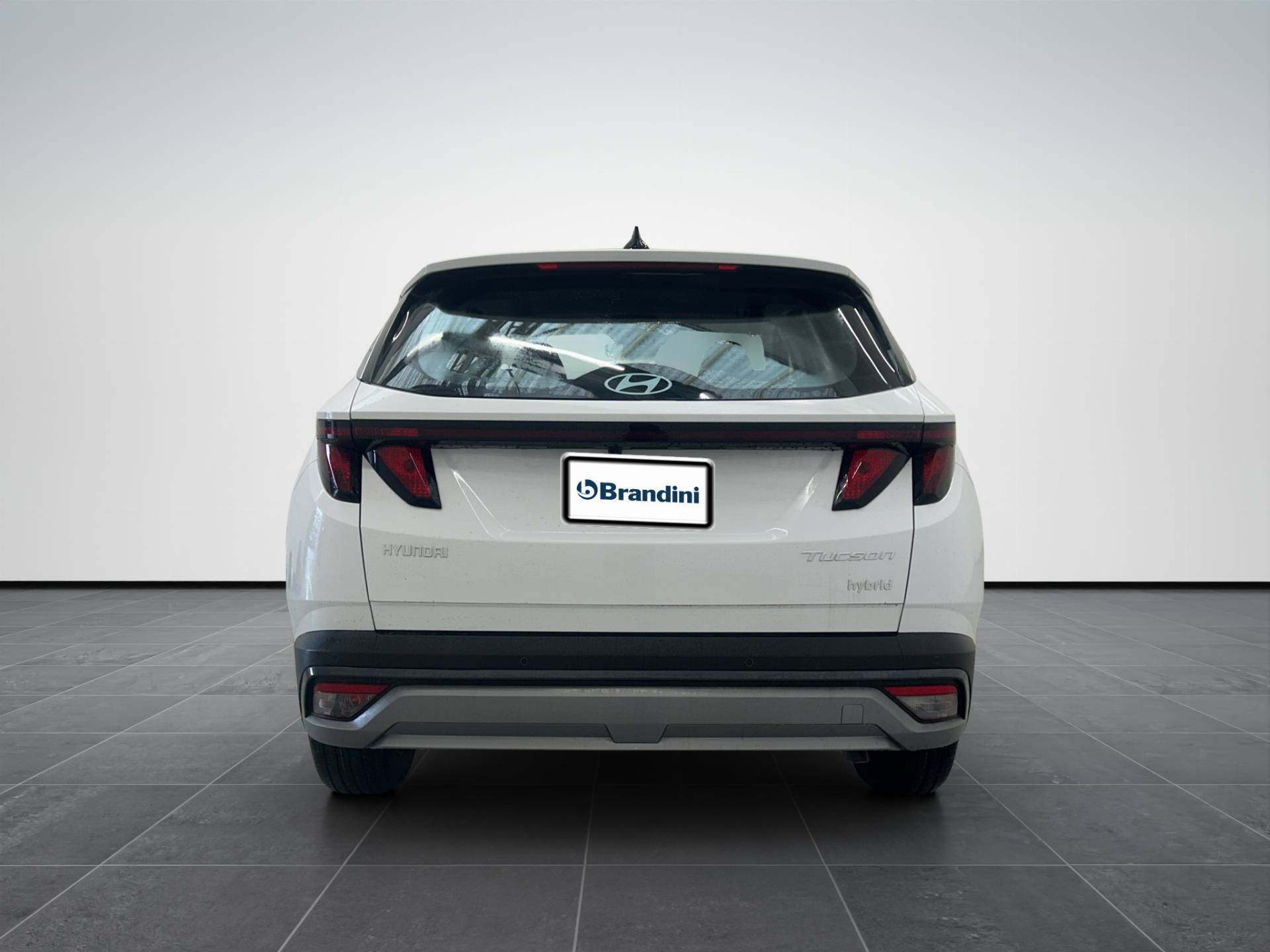 Auto Venduta - HYUNDAI Tucson Tucson 1.6 hev Xtech 2wd 239cv auto usata in pronta consegna - Brandini