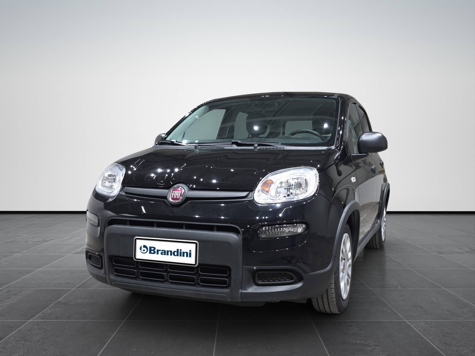 FIAT Panda Panda 1.0 firefly hybrid s&s 70cv usata in pronta consegna - Brandini