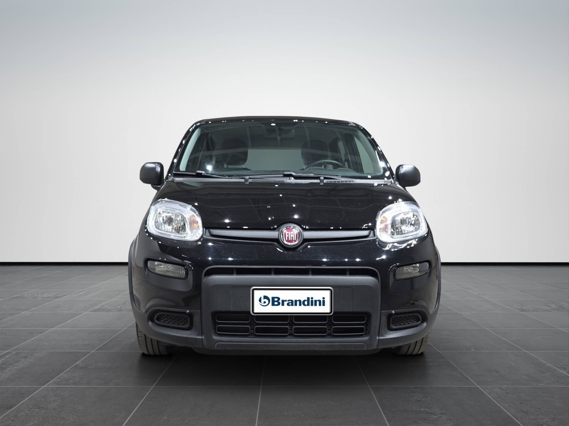 FIAT Panda Panda 1.0 firefly hybrid s&s 70cv usata in pronta consegna - Brandini
