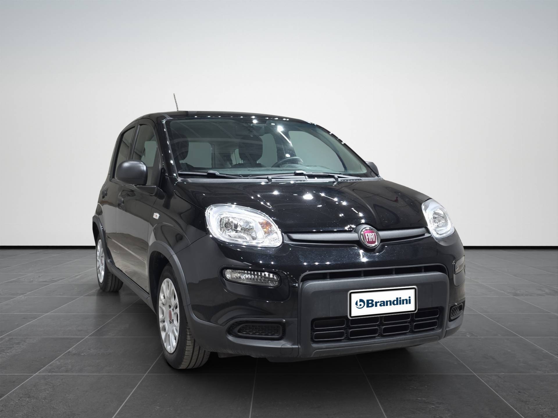 FIAT Panda Panda 1.0 firefly hybrid s&s 70cv usata in pronta consegna - Brandini