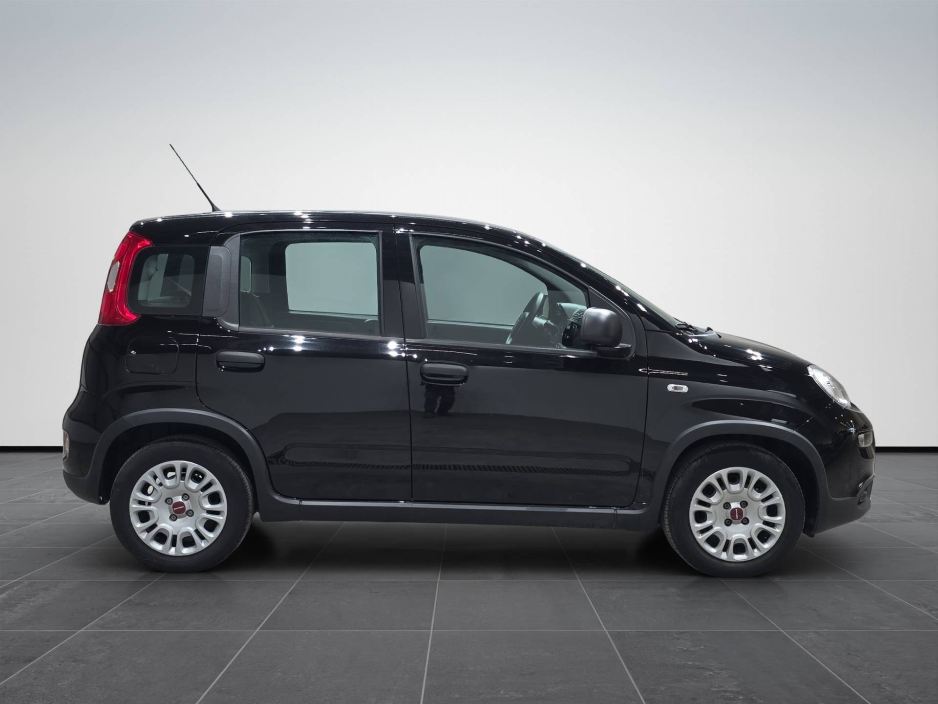 FIAT Panda Panda 1.0 firefly hybrid s&s 70cv usata in pronta consegna - Brandini