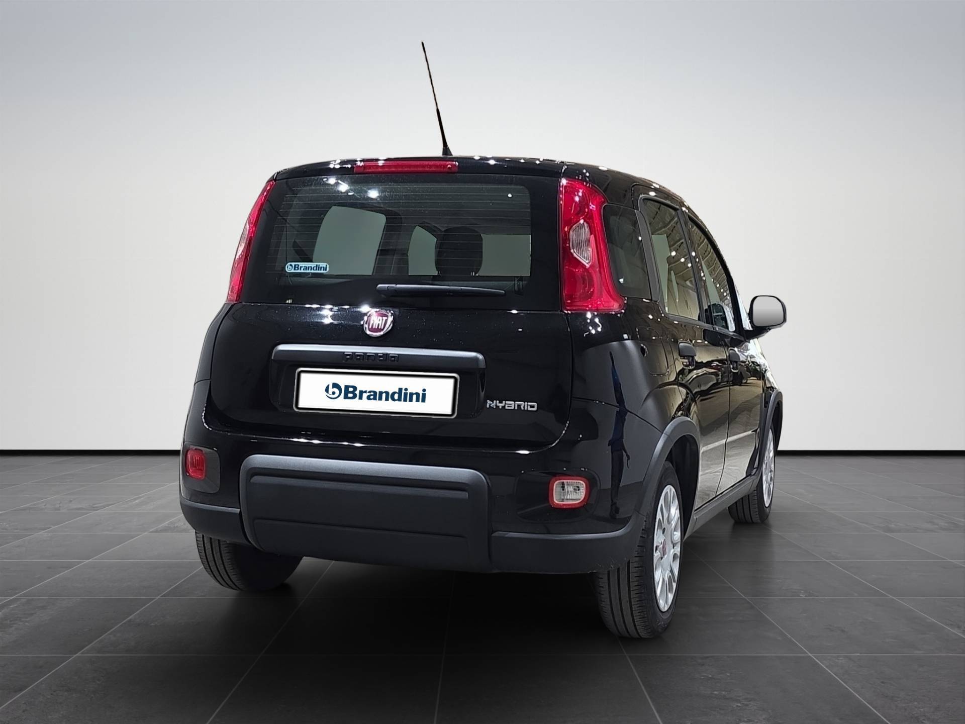 FIAT Panda Panda 1.0 firefly hybrid s&s 70cv usata in pronta consegna - Brandini